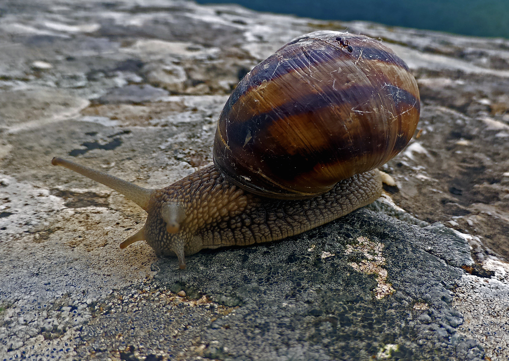 ASUS Z00XS sample photo. Slow ride around town photography