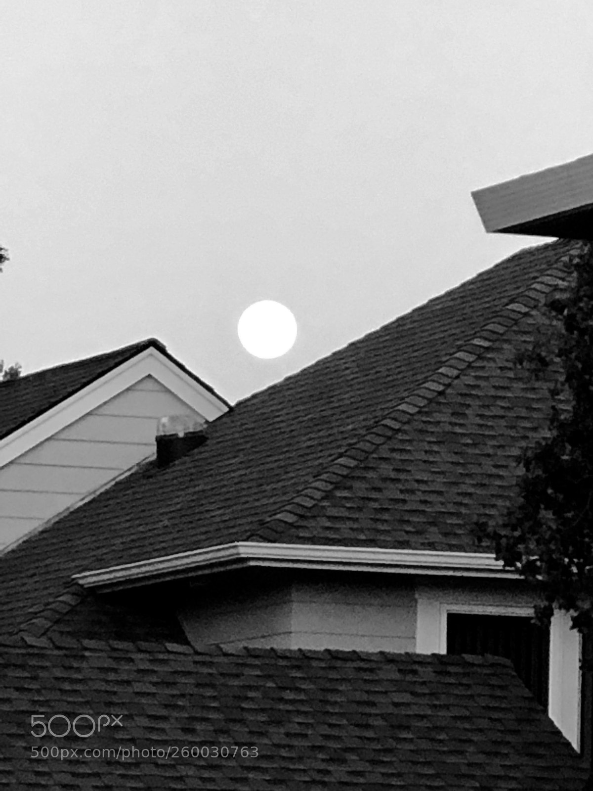 Apple iPhone 8 Plus sample photo. Hello moon photography