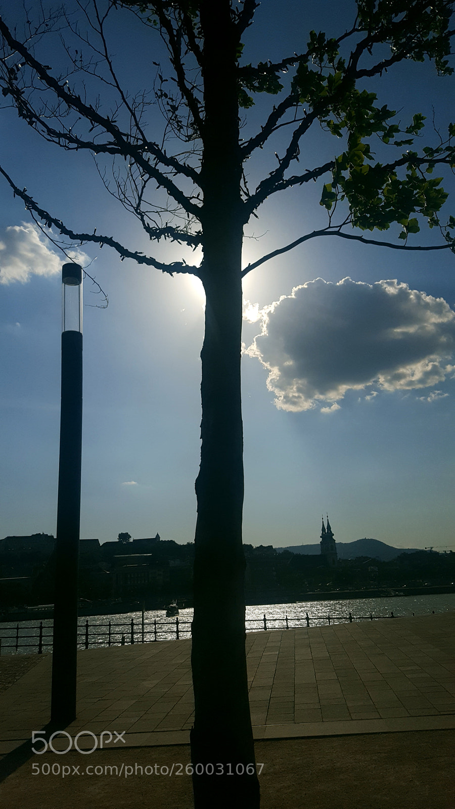 Samsung GALAXY S6 edge sample photo. Untitled photography