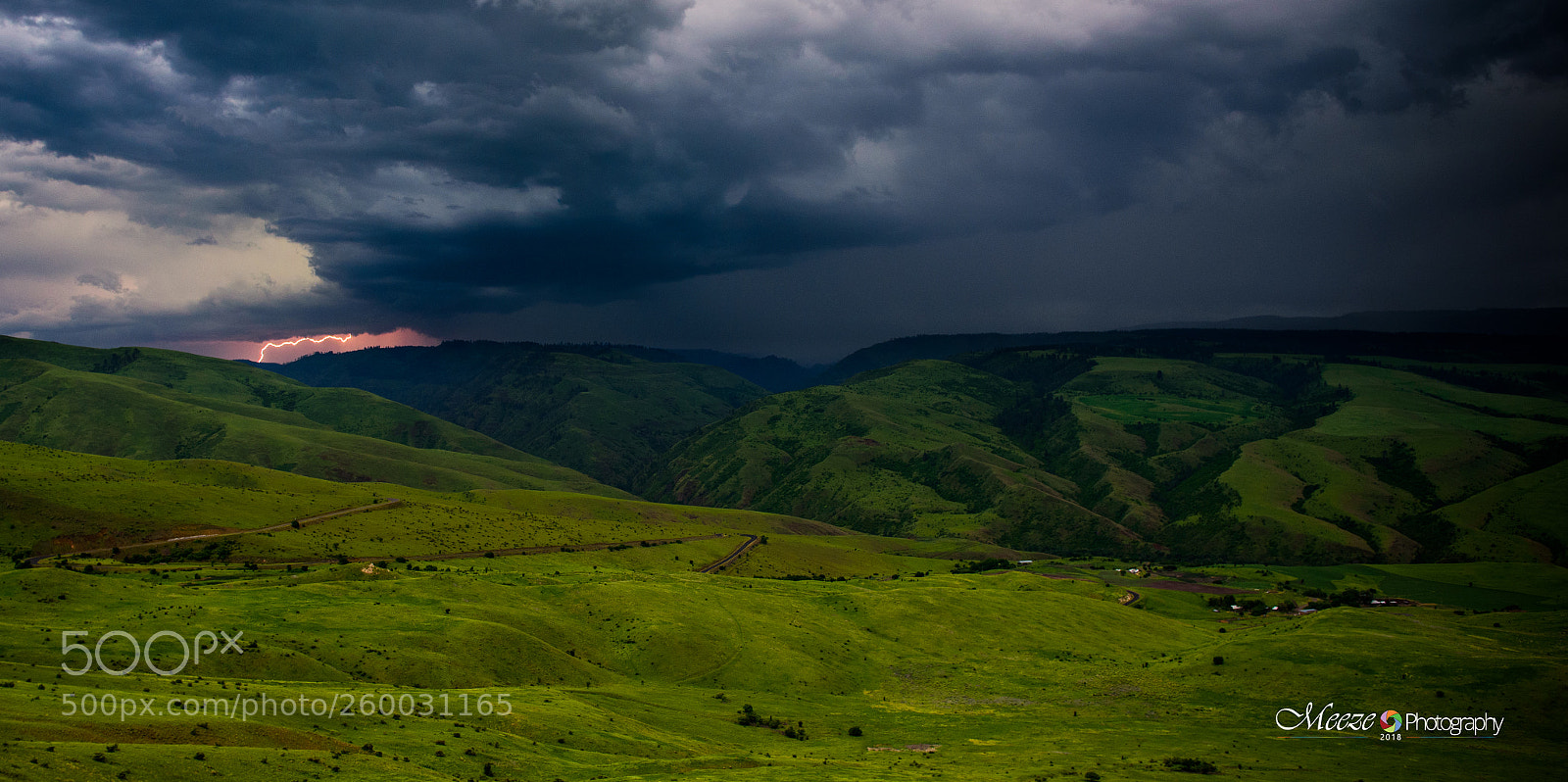 Nikon D750 sample photo. White bird idaho photography