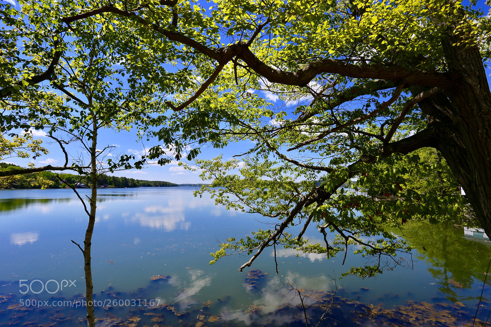 Canon EOS 6D sample photo. Maine in may photography