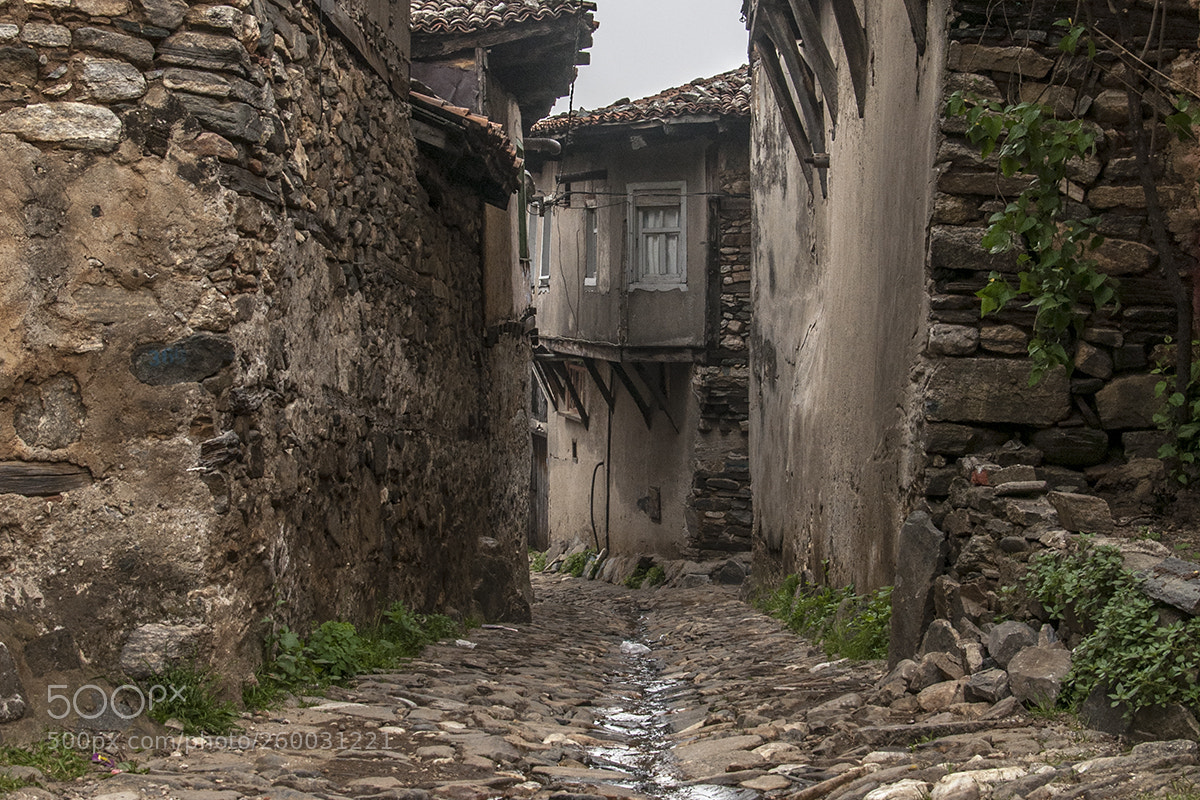 Nikon D90 sample photo. Cobblestone photography