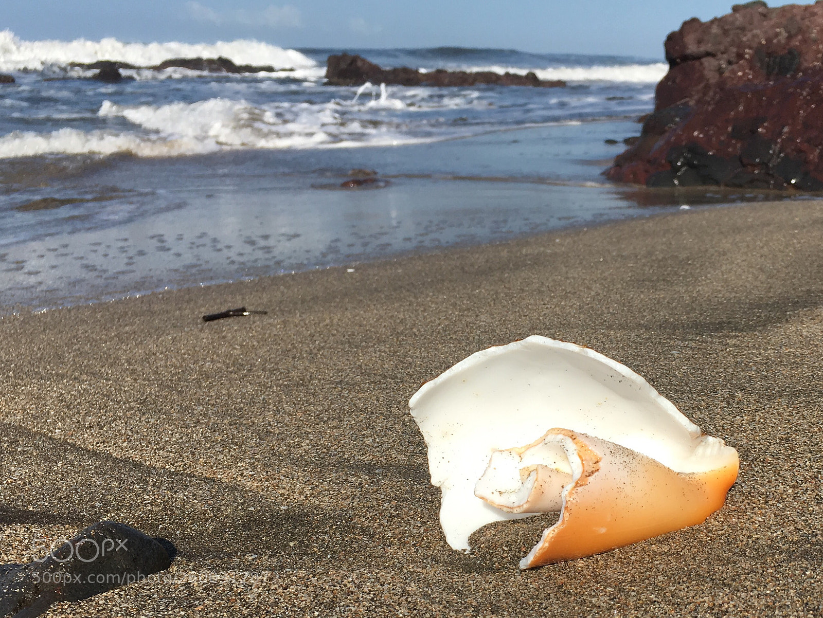 Apple iPhone 6s sample photo. Washed up  photography