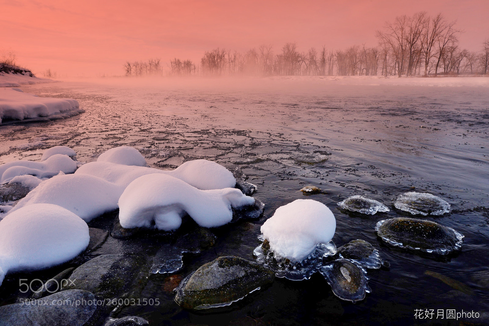 Nikon D610 sample photo. Winter morning photography