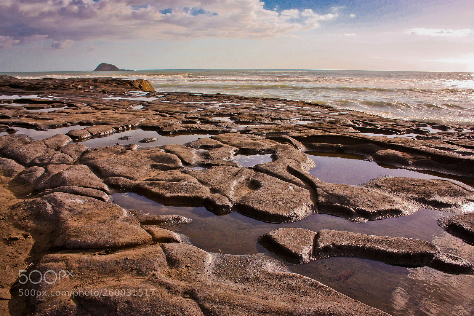 Canon EOS 450D (EOS Rebel XSi / EOS Kiss X2) sample photo. Stone mosaic in muriwai photography