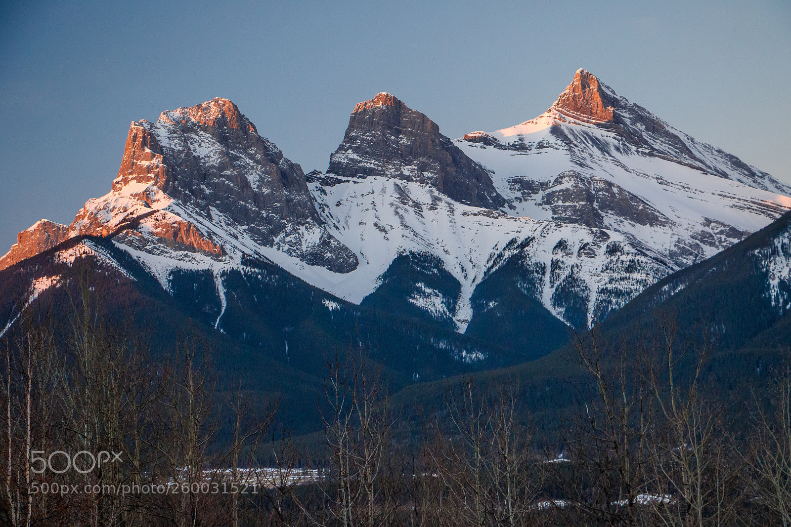 Canon EOS 7D Mark II sample photo. Early spring time in photography