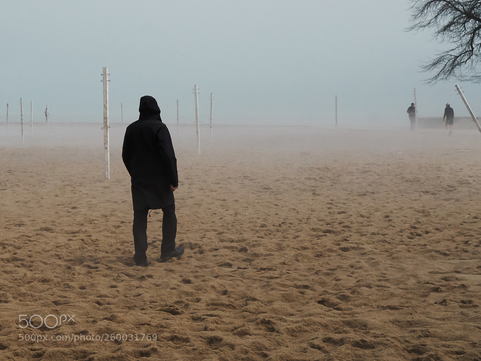 Sony a6300 sample photo. Fog walking photography
