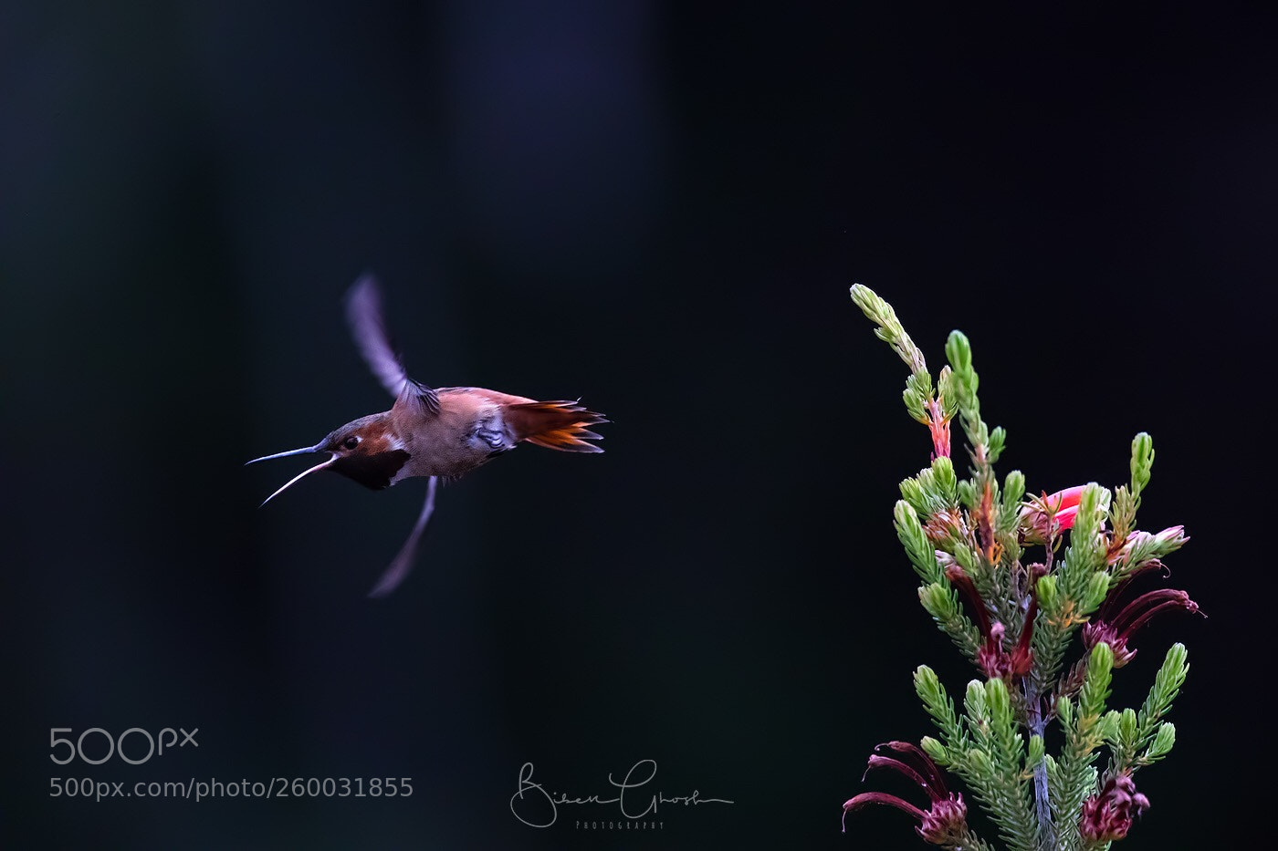 Canon EOS 5D Mark IV sample photo. Leave me alone photography