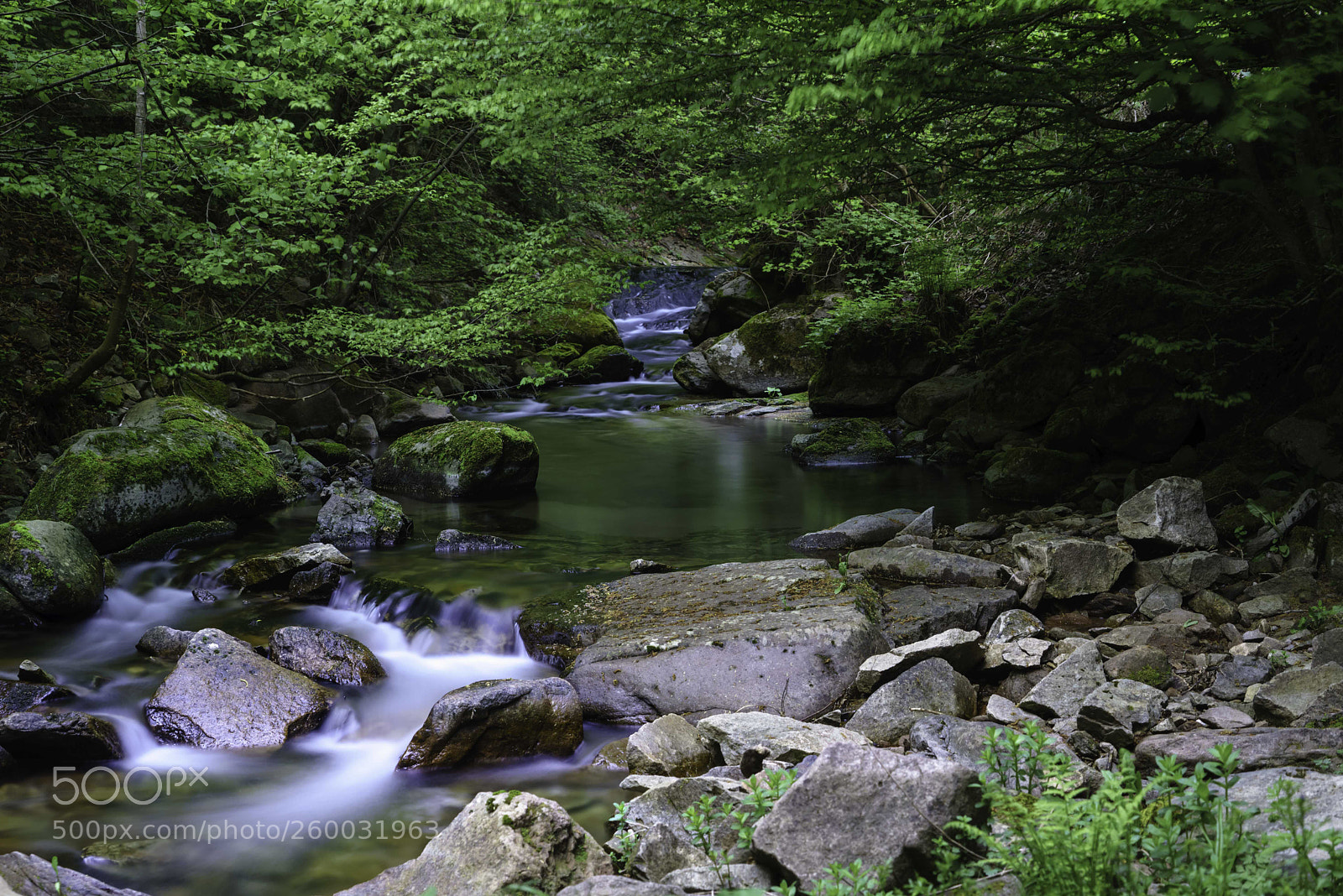 Sony a7R sample photo. Untitled photography