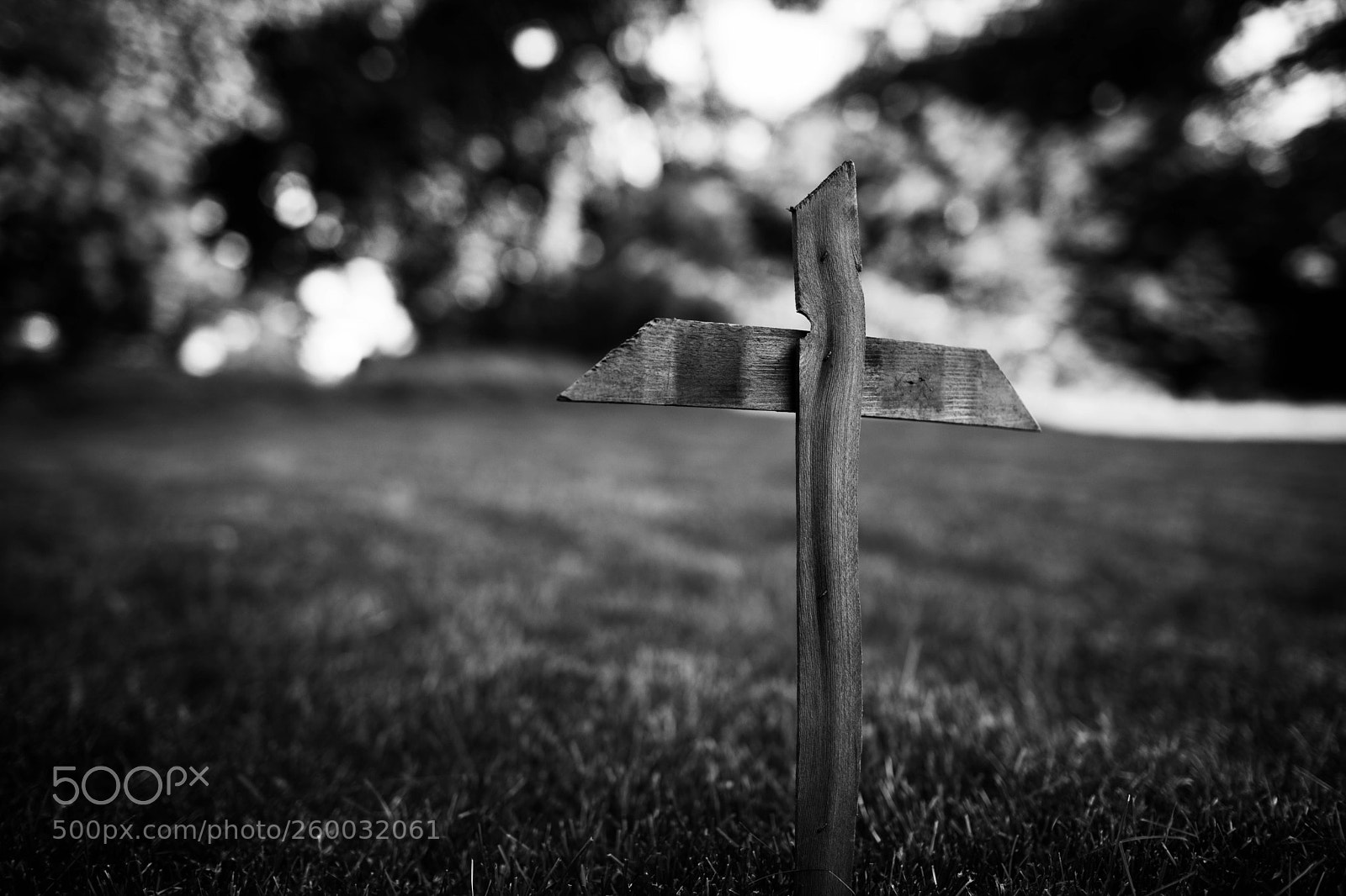 Canon EOS 5D Mark II sample photo. Rest in paradise photography