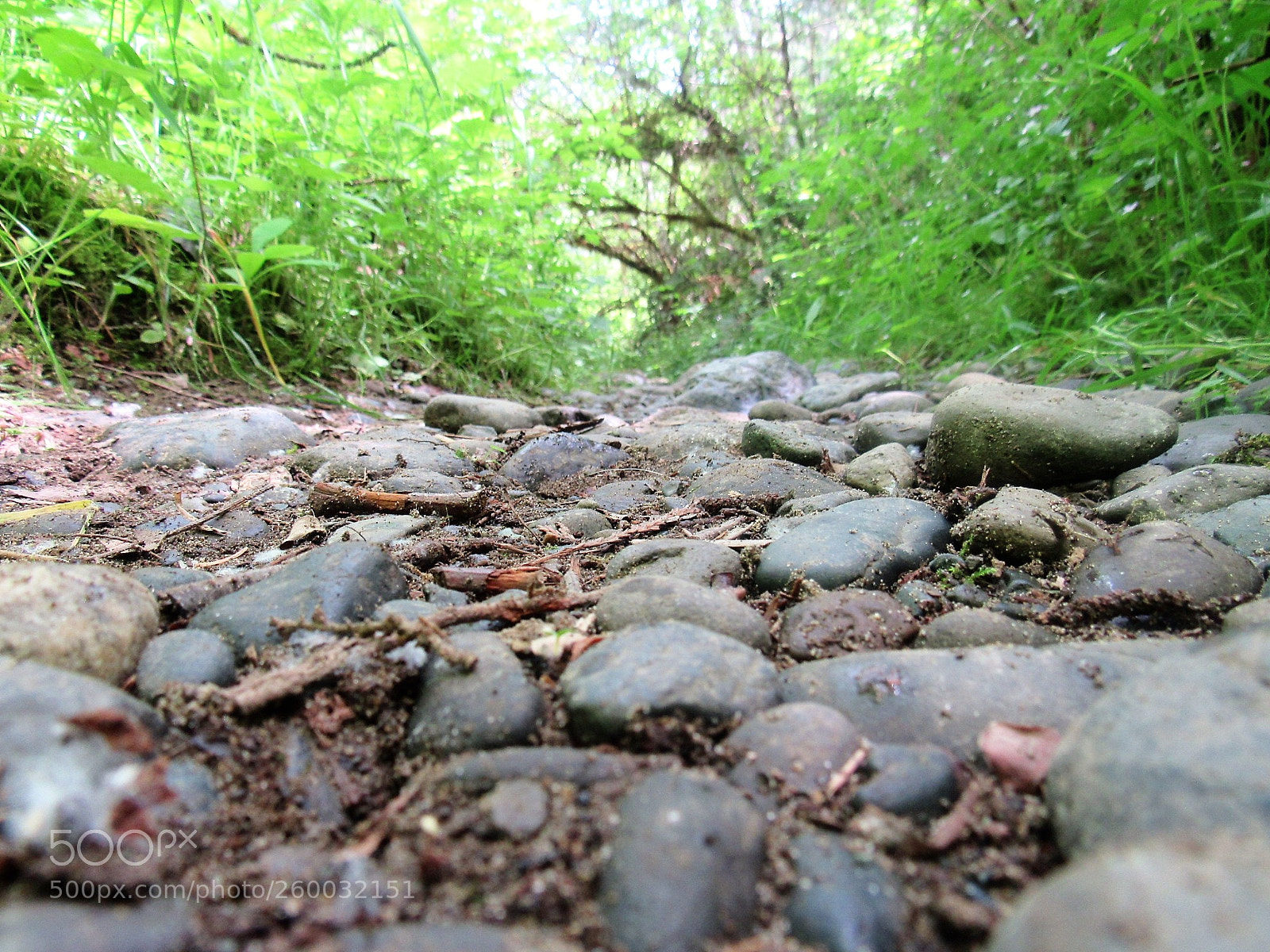 Canon PowerShot SX530 HS sample photo. Rocky road photography