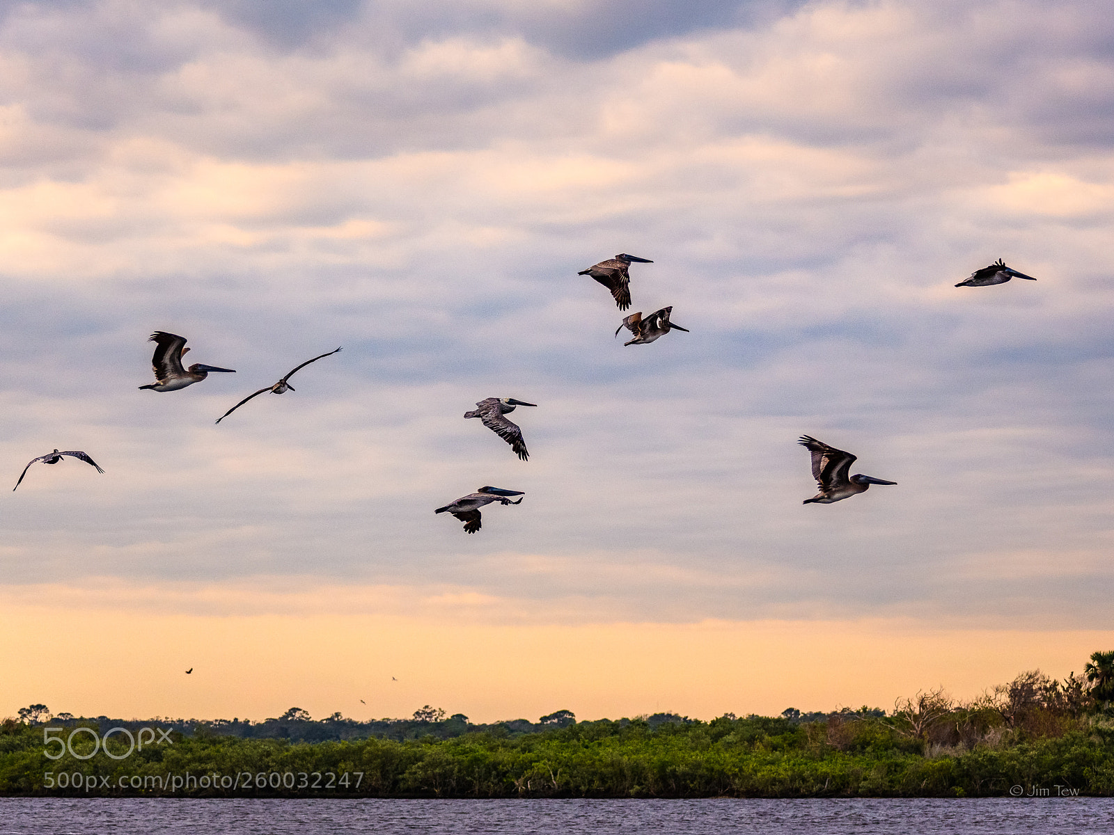 Nikon D7500 sample photo. Dawn patrol photography
