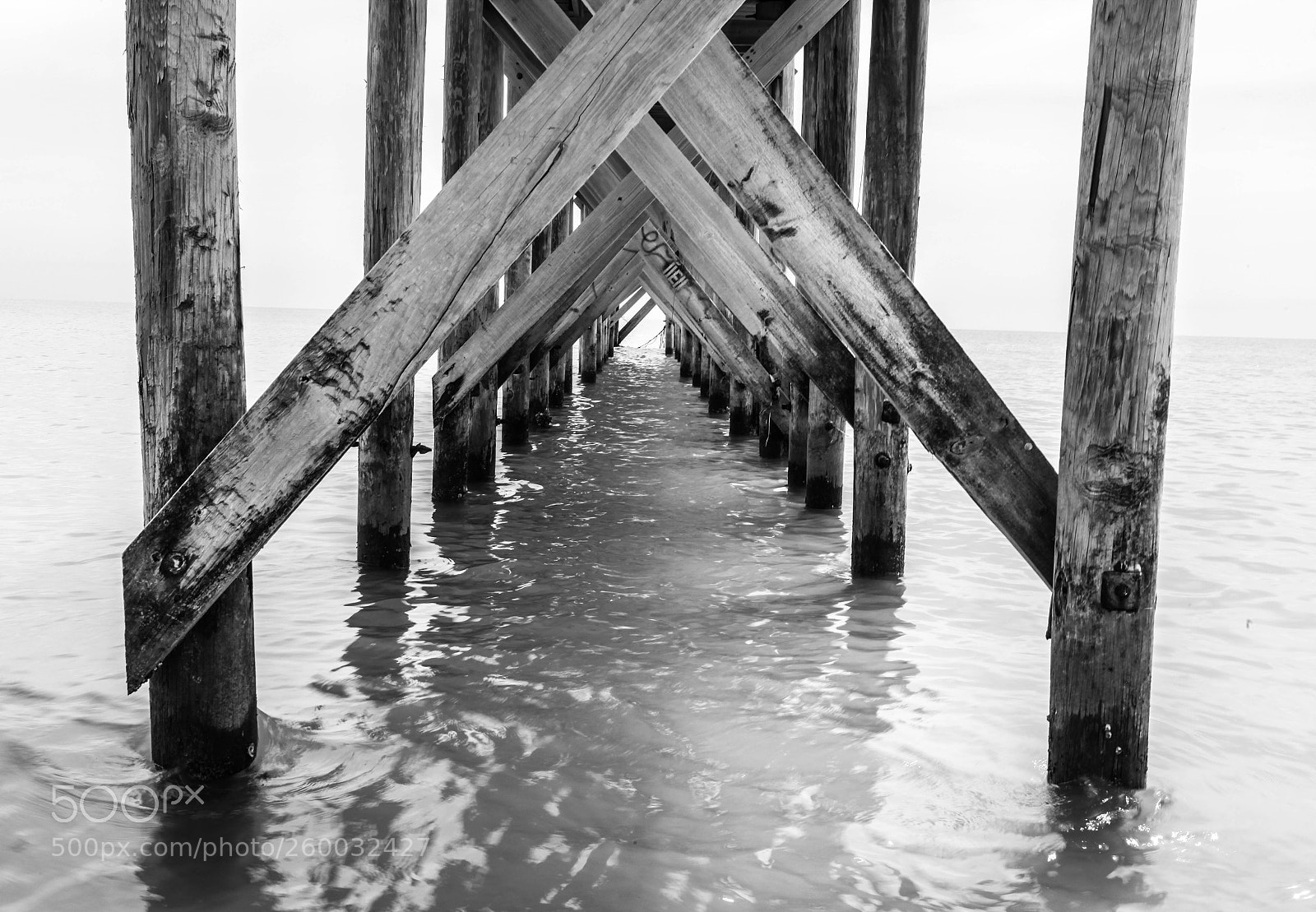 Canon EOS 5D Mark II sample photo. Underneath photography