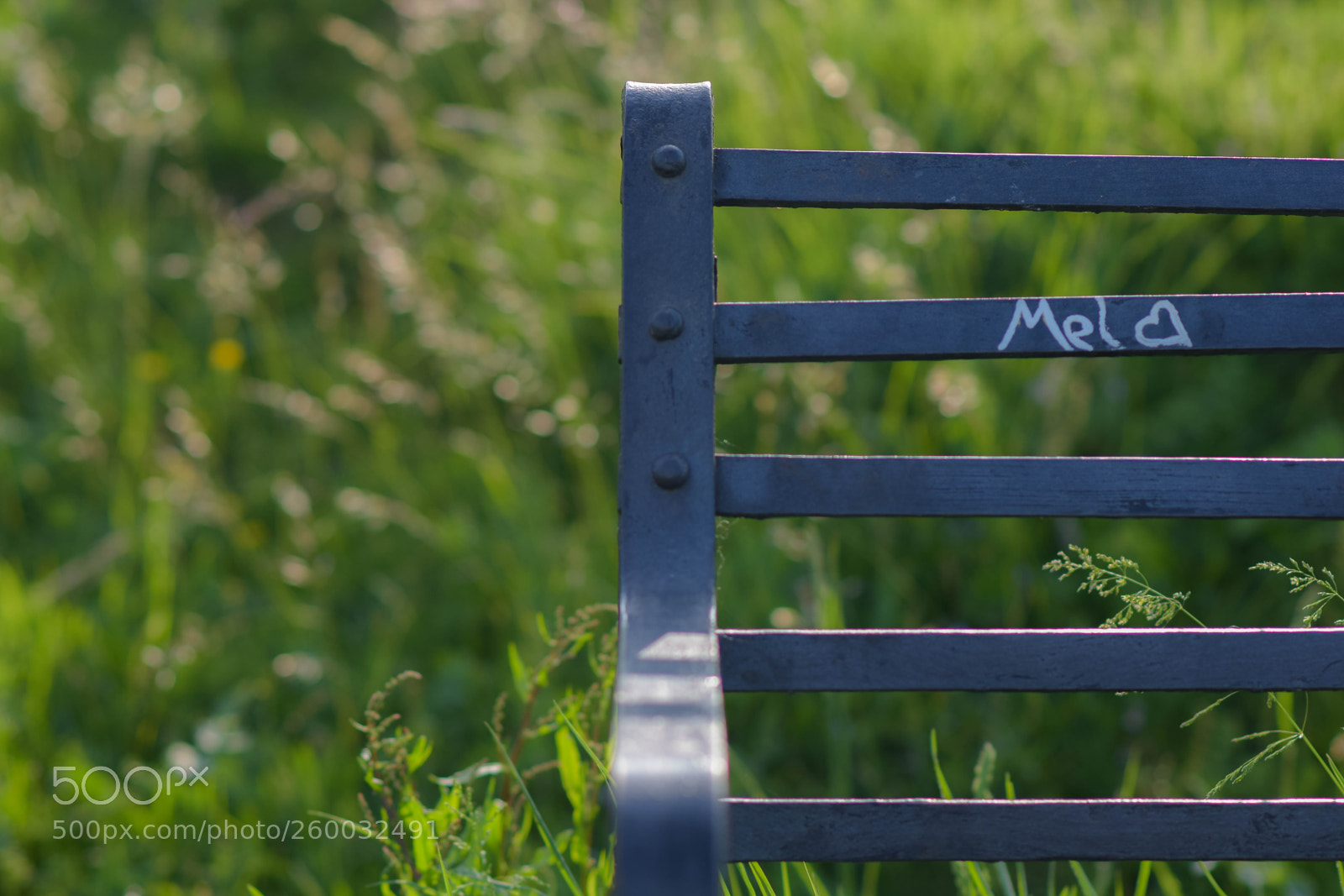 Nikon D5300 sample photo. Mel's bench photography