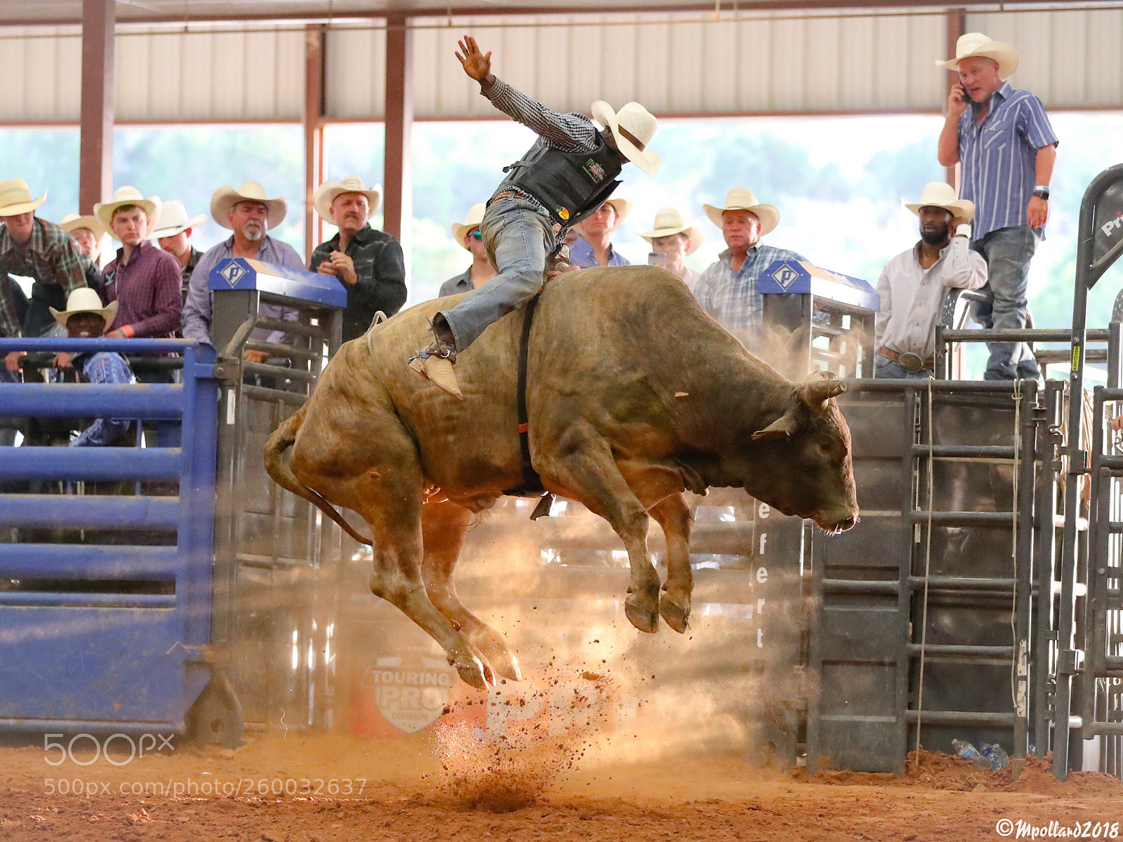 Canon EOS-1D X Mark II sample photo. Bkh bull ride. photography