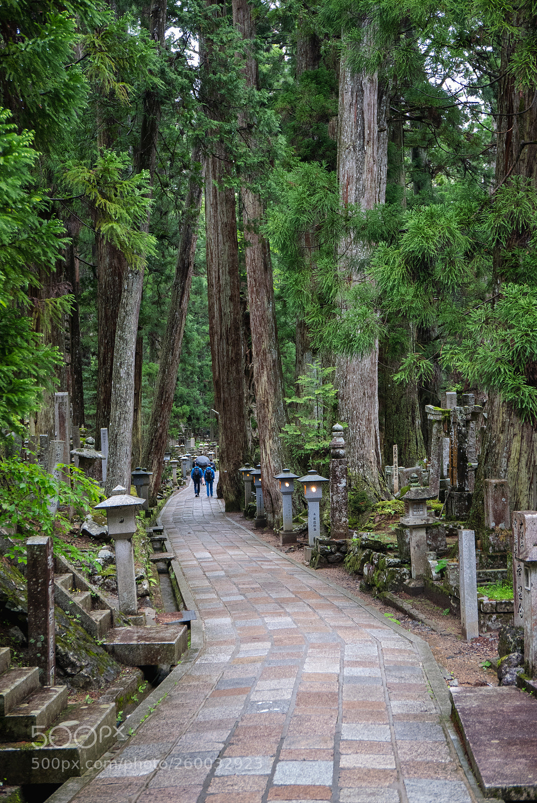 Panasonic Lumix DMC-LX100 sample photo. Path through okunoin photography