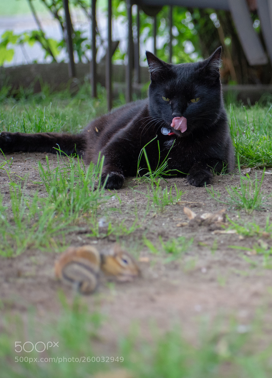 Nikon D7200 sample photo. Untitled photography