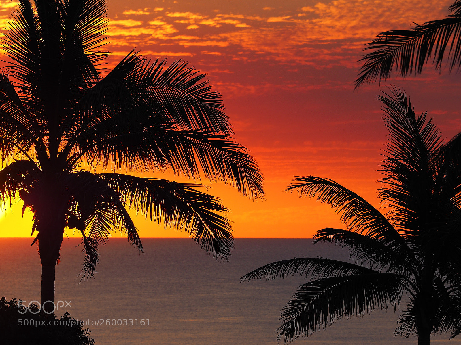Olympus OM-D E-M1 sample photo. A sunset to remember! photography