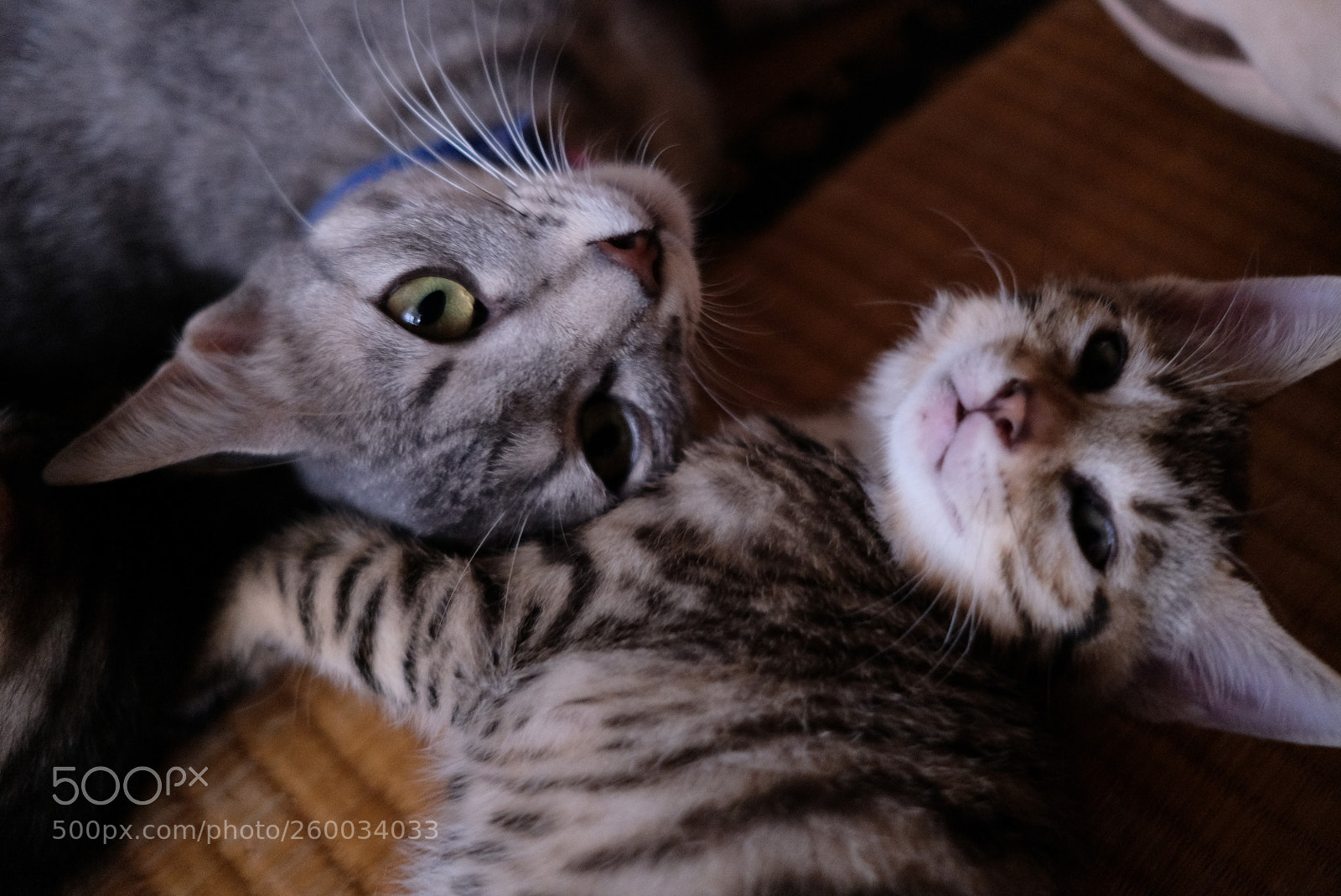 Fujifilm X-T2 sample photo. Dscf photography