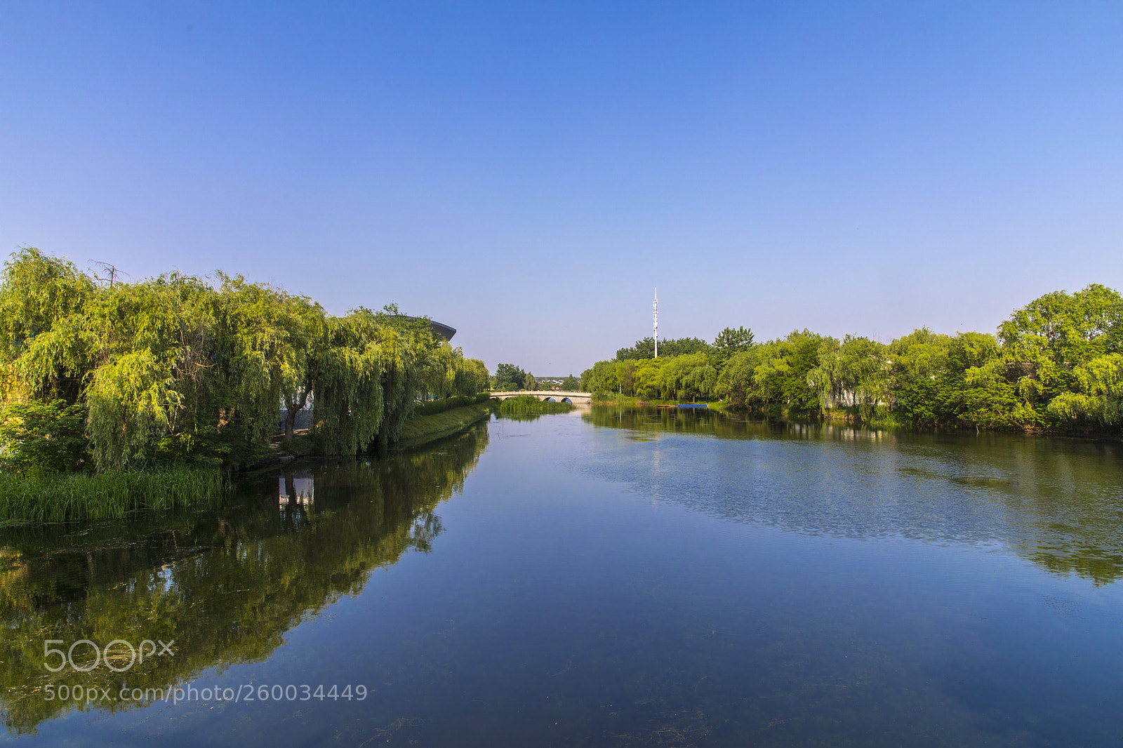 Canon EOS 5D Mark IV sample photo. Blue...blue... photography