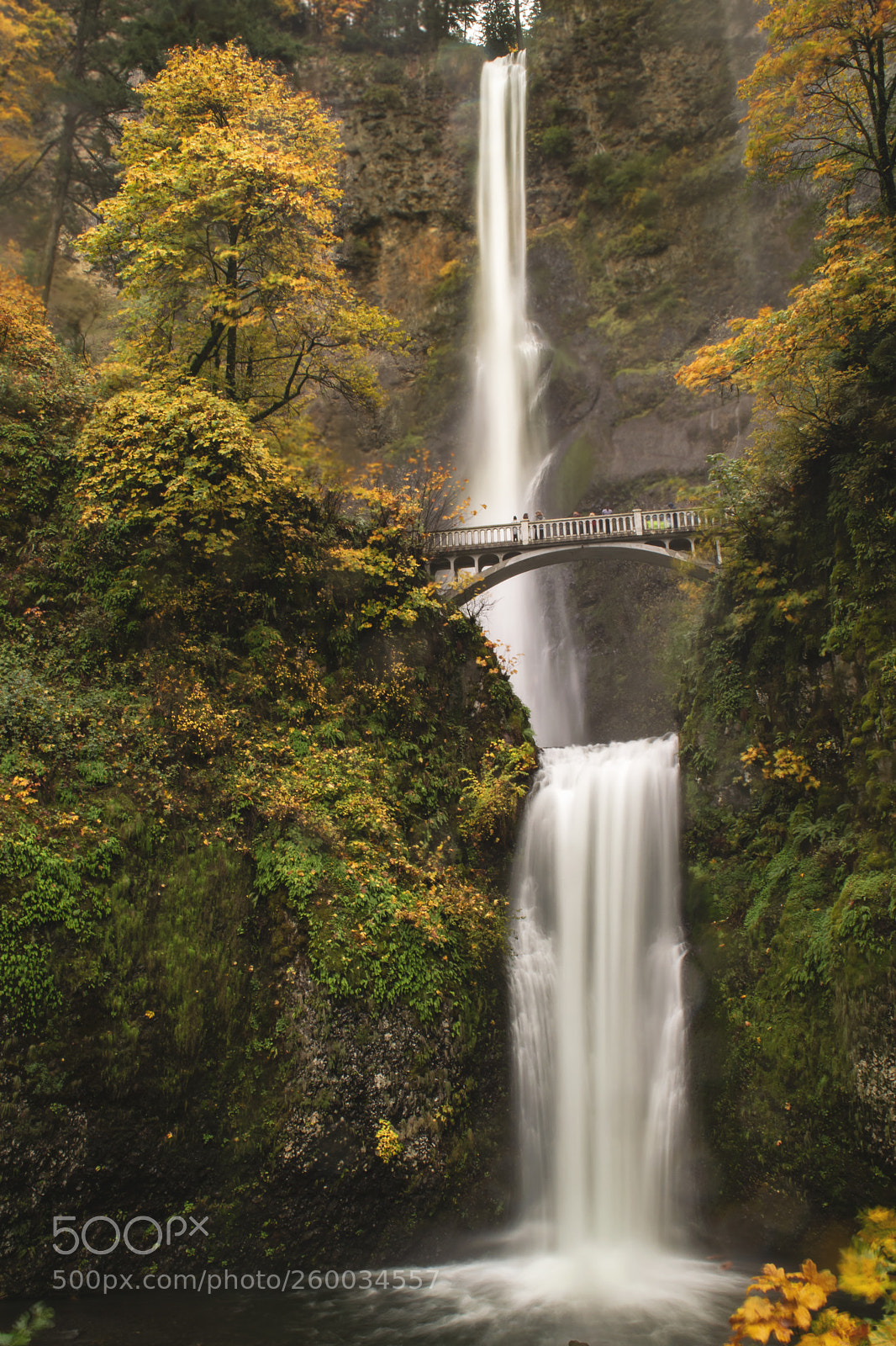 Nikon D3300 sample photo. Multnomah falls in october photography