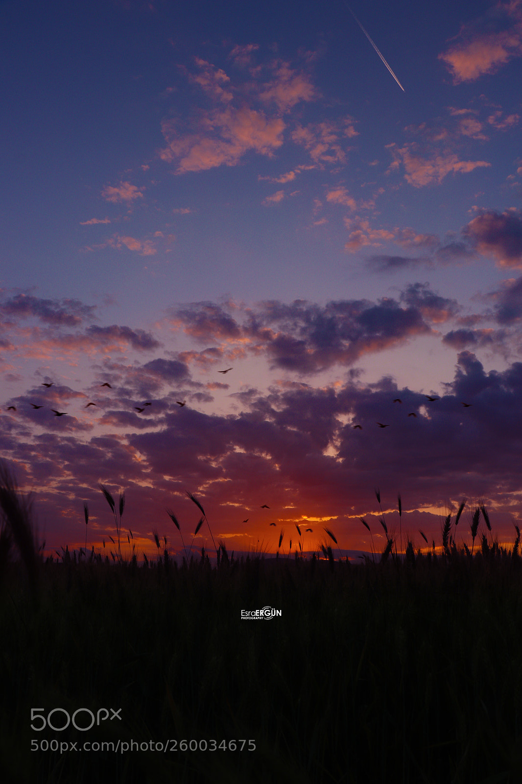 Canon EOS 800D (EOS Rebel T7i / EOS Kiss X9i) sample photo. Sunset in burgas photography