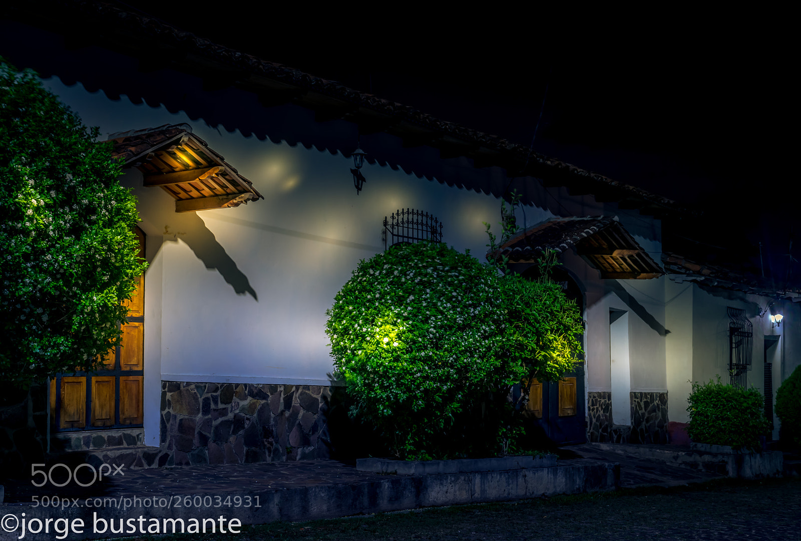 Nikon D3300 sample photo. Lights. photography