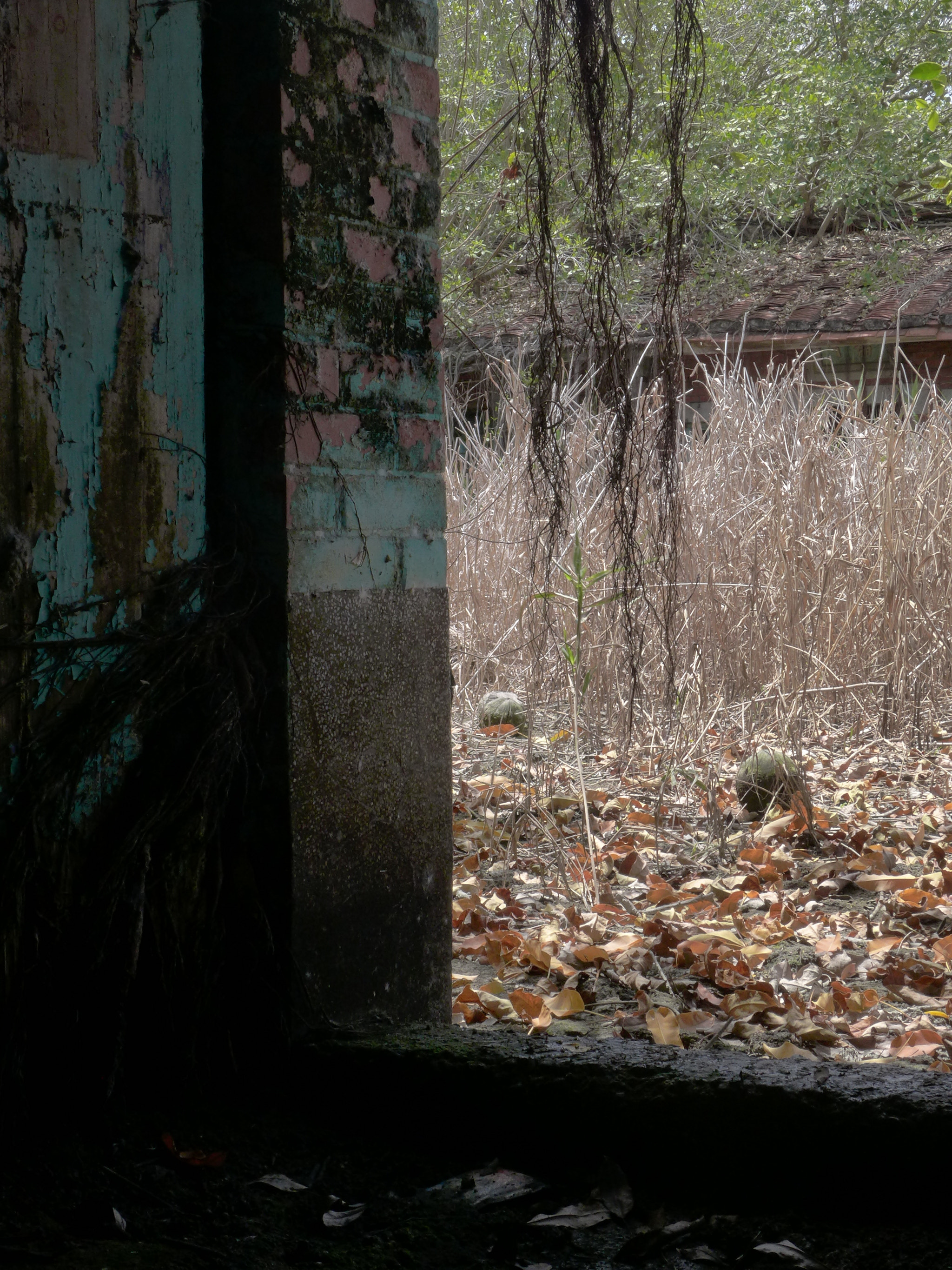 Leica D-Lux 6 sample photo. Deserted photography
