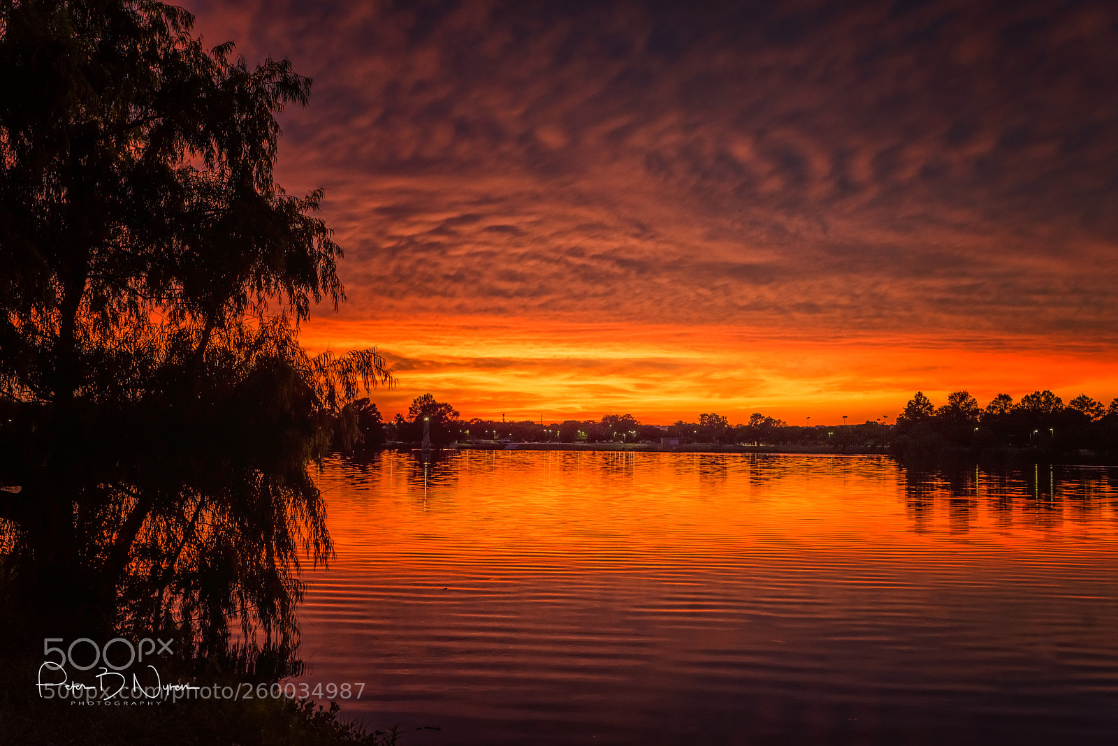 Nikon D750 sample photo. South texas sunset photography
