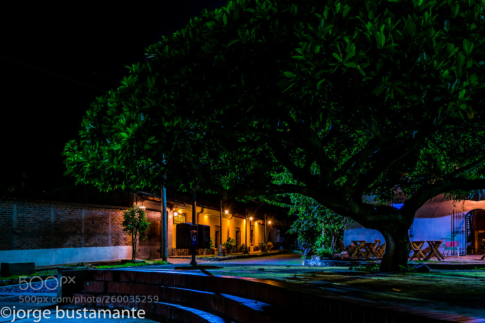 Nikon D3300 sample photo. El amate. photography
