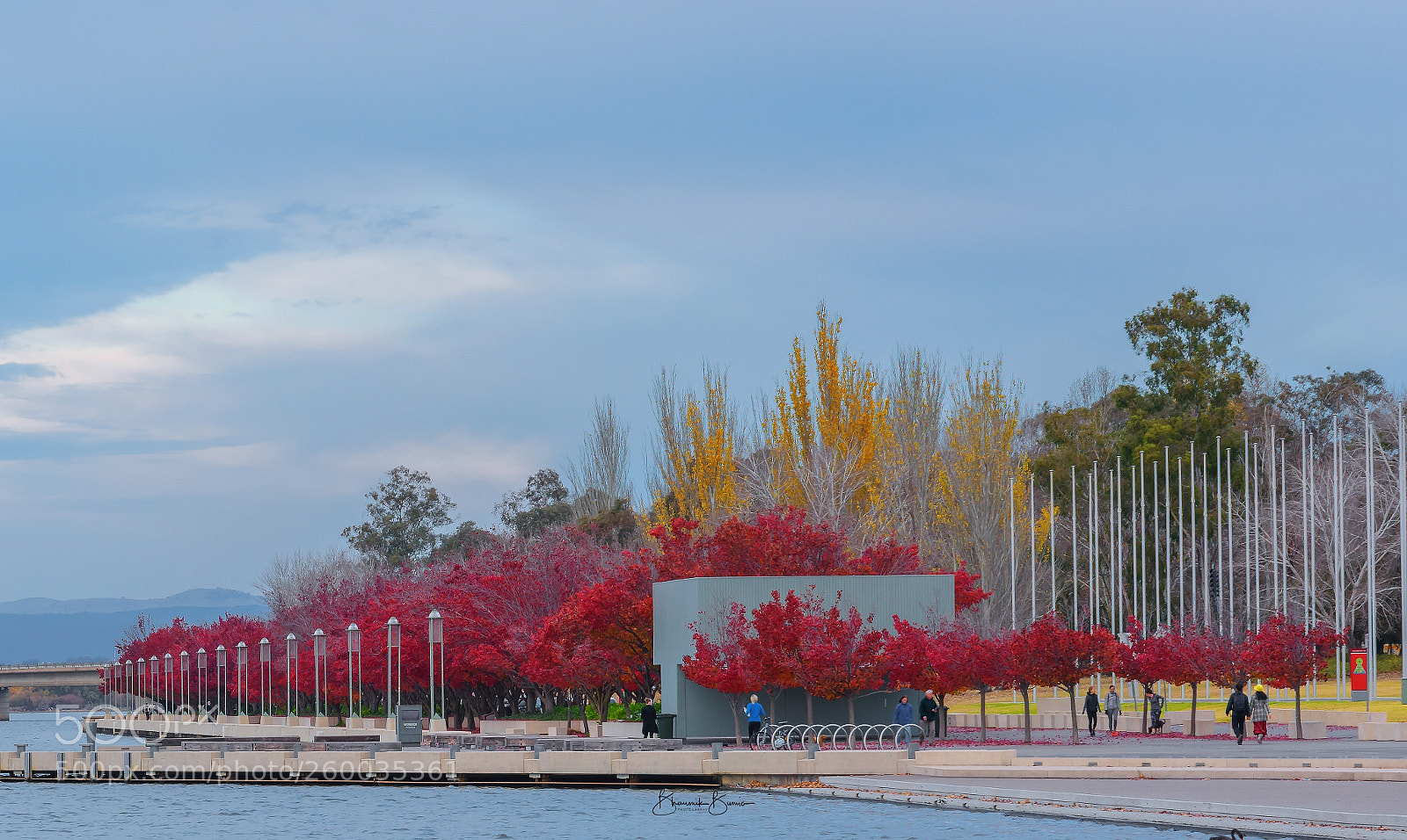 Nikon D810 sample photo. Autumn bloom around the photography
