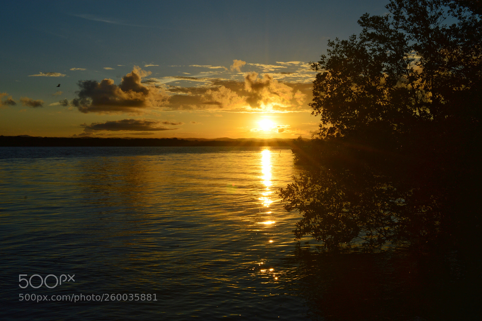 Nikon D3200 sample photo. Amba ba photography