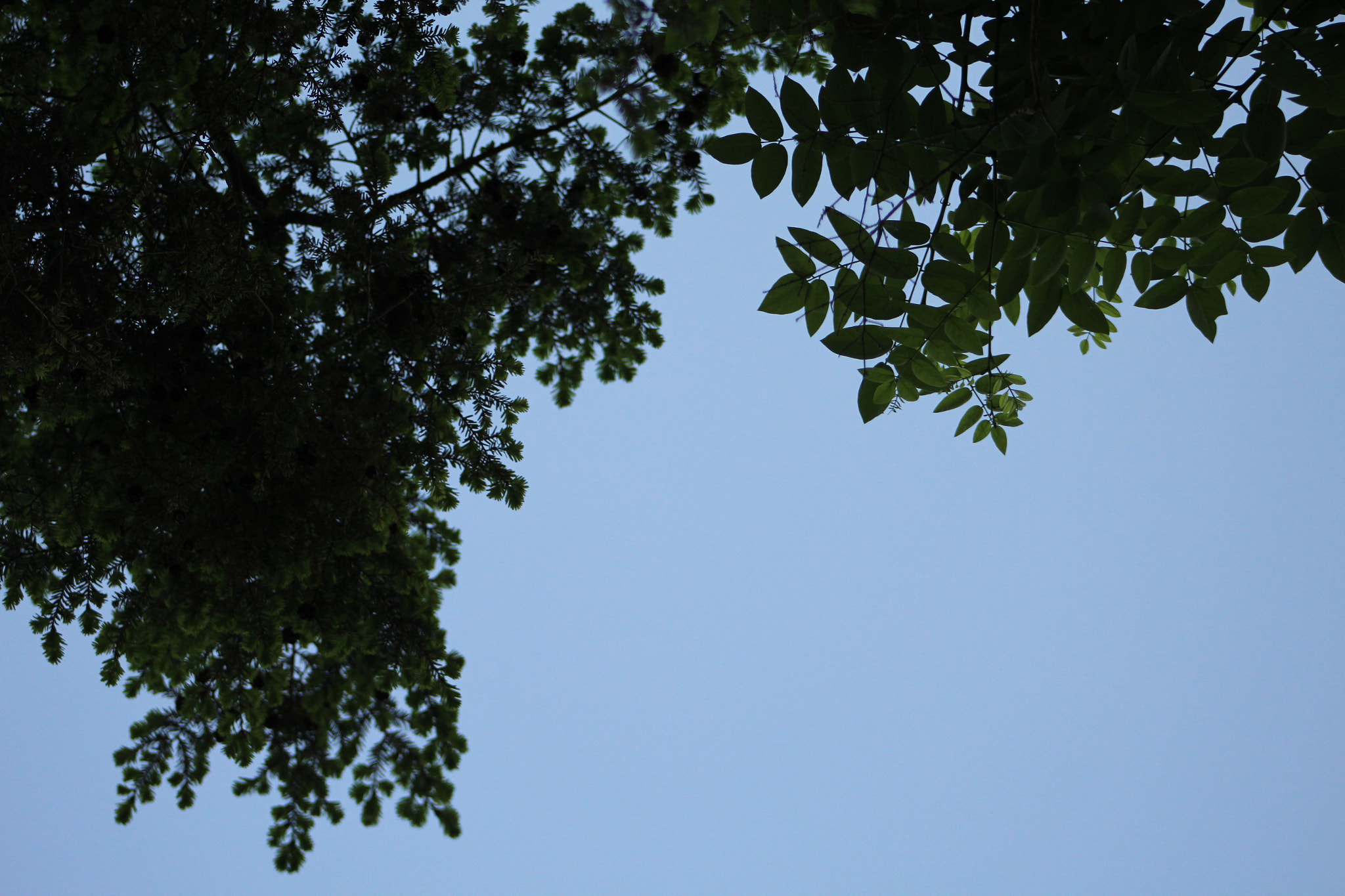 Canon EF 75-300mm f/4-5.6 USM sample photo. Img photography