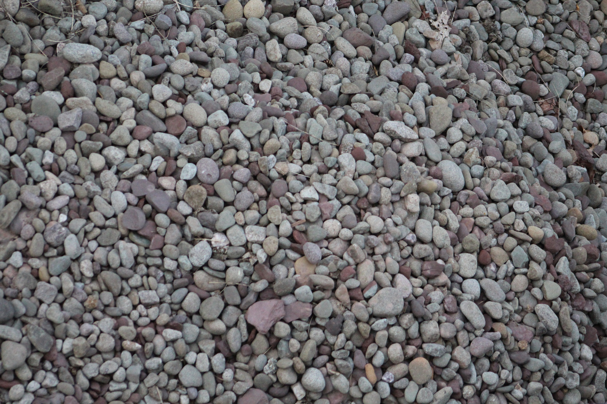 Canon EF 75-300mm f/4-5.6 USM sample photo. Img photography