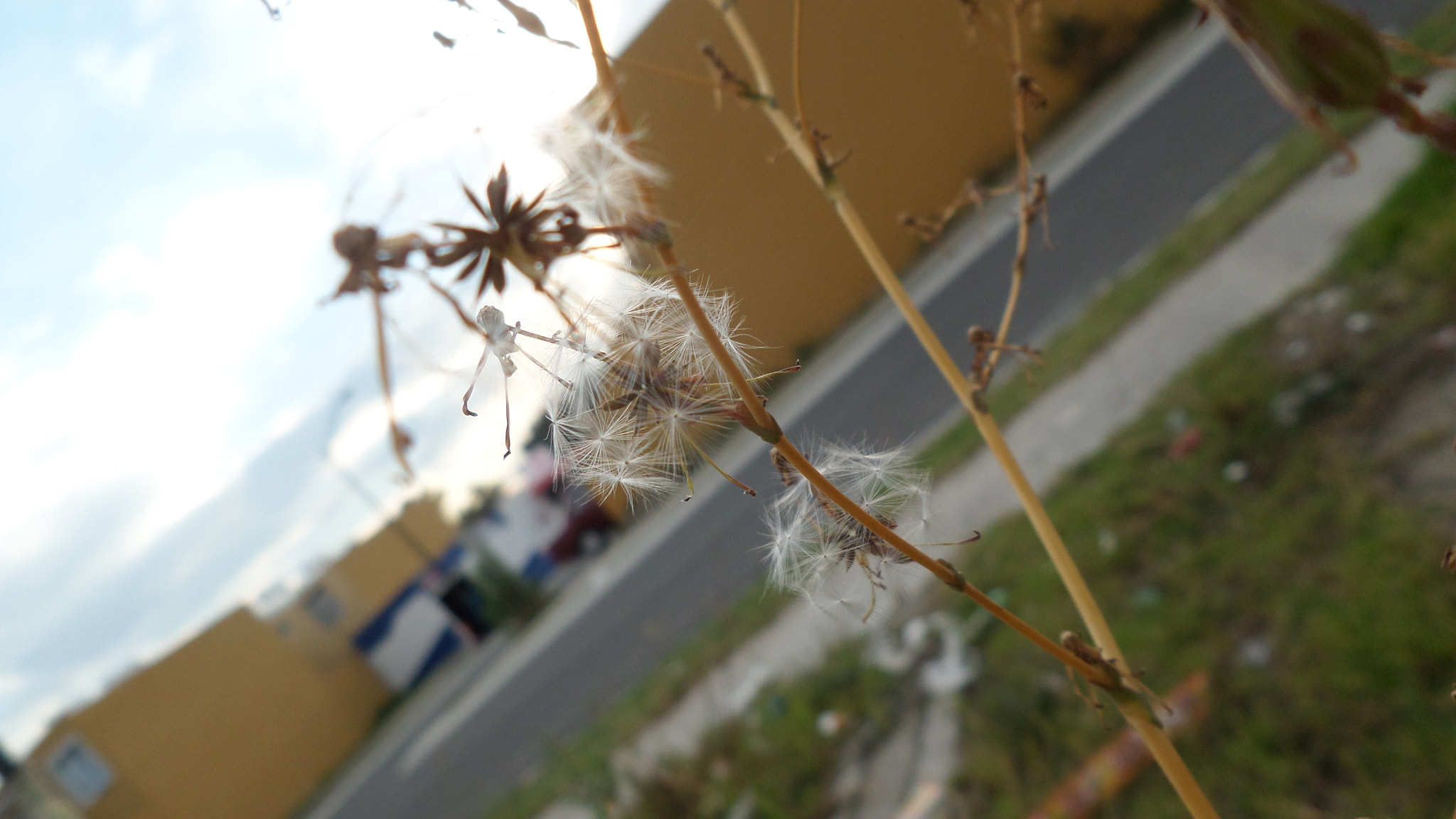 Samsung WB30F/WB31F/WB32F sample photo. ... photography