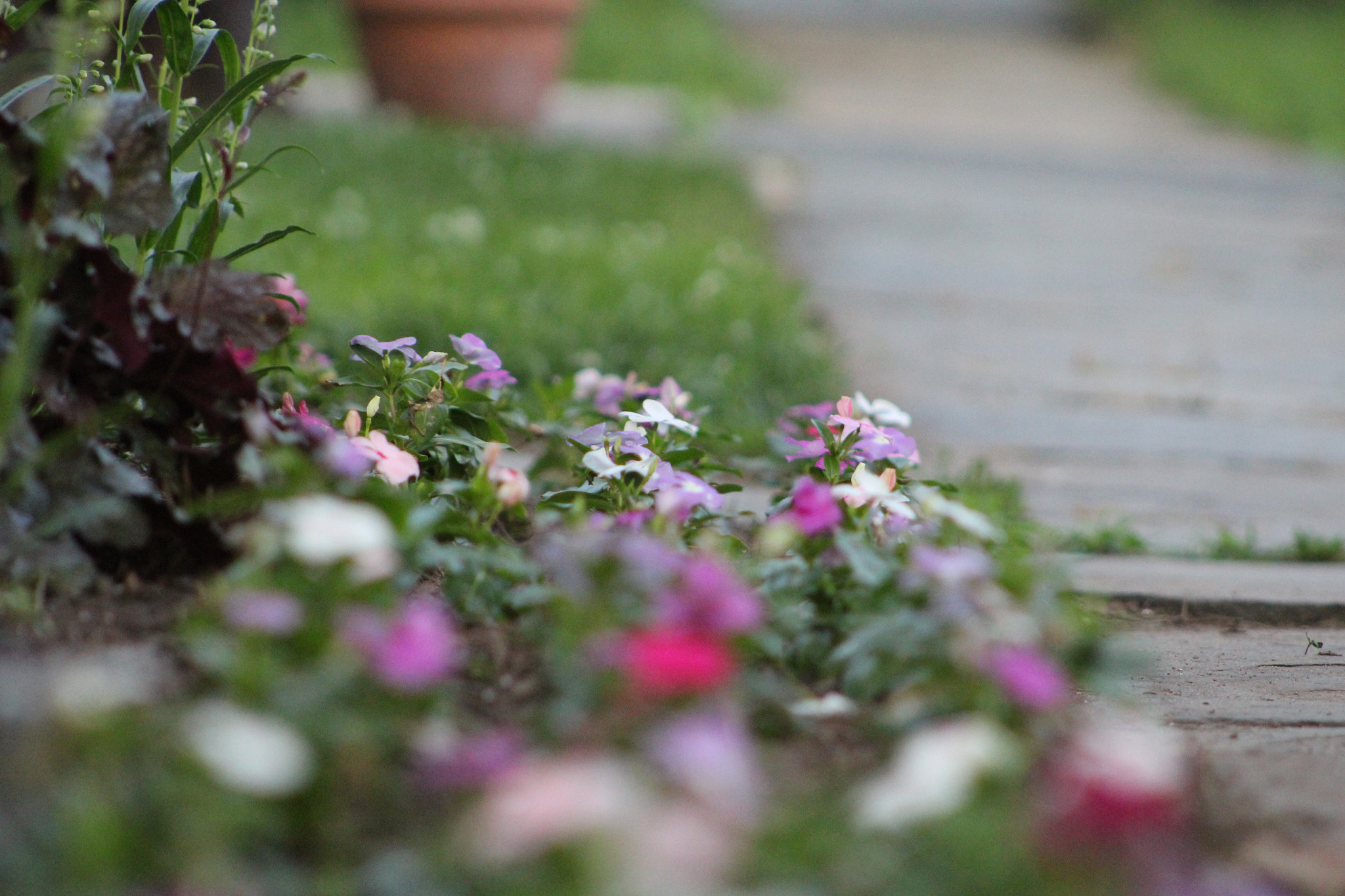 Canon EOS 1200D (EOS Rebel T5 / EOS Kiss X70 / EOS Hi) sample photo. Img photography