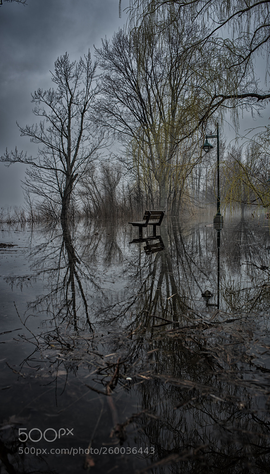 Nikon D800 sample photo. Fog reflexion photography