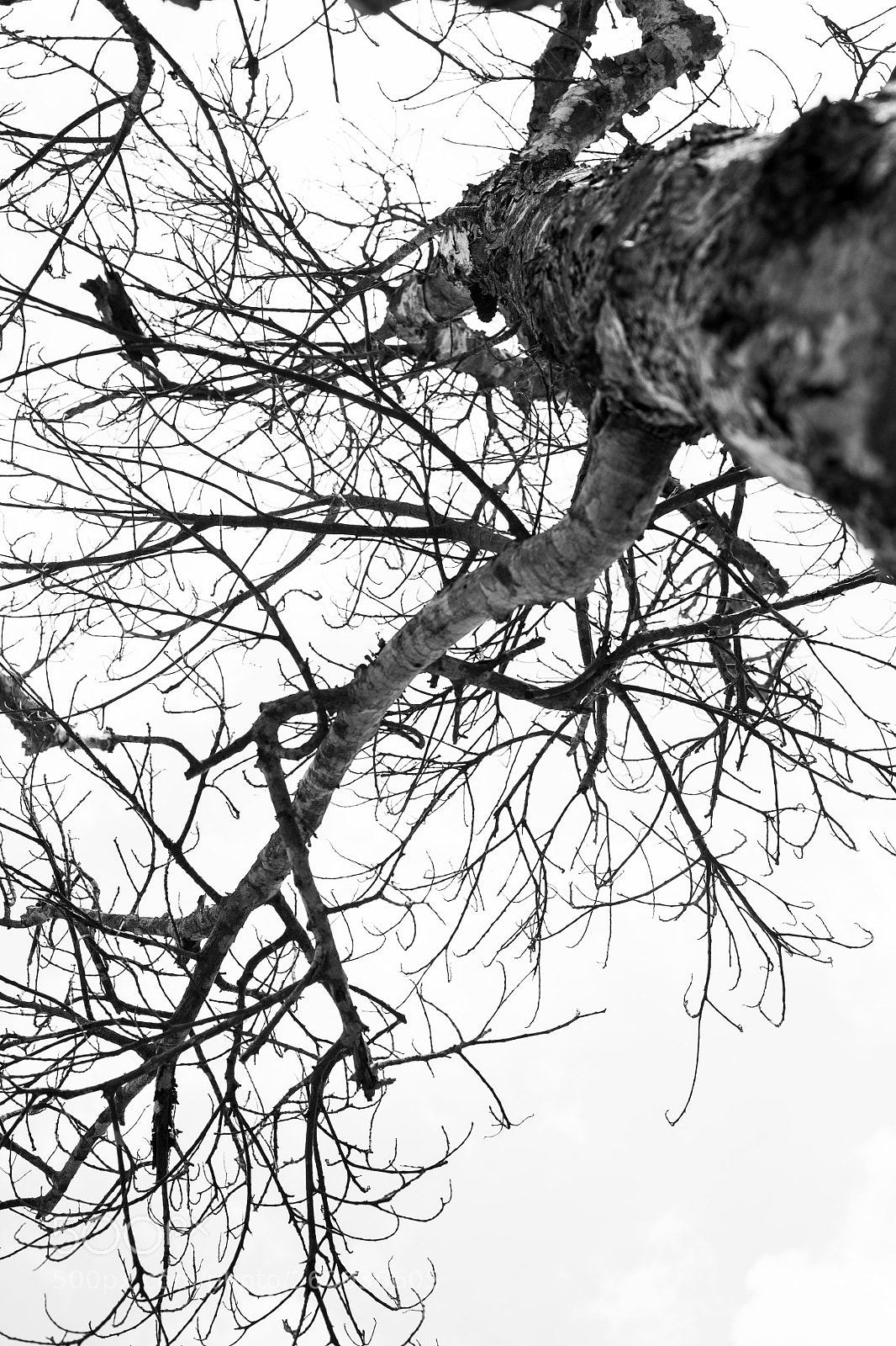 Canon EOS 5D sample photo. Untitled photography