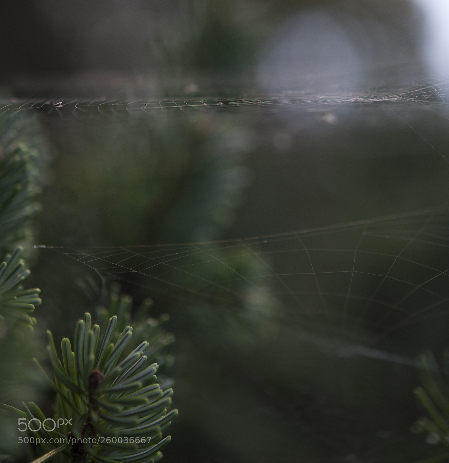Nikon D90 sample photo. Between time and space photography