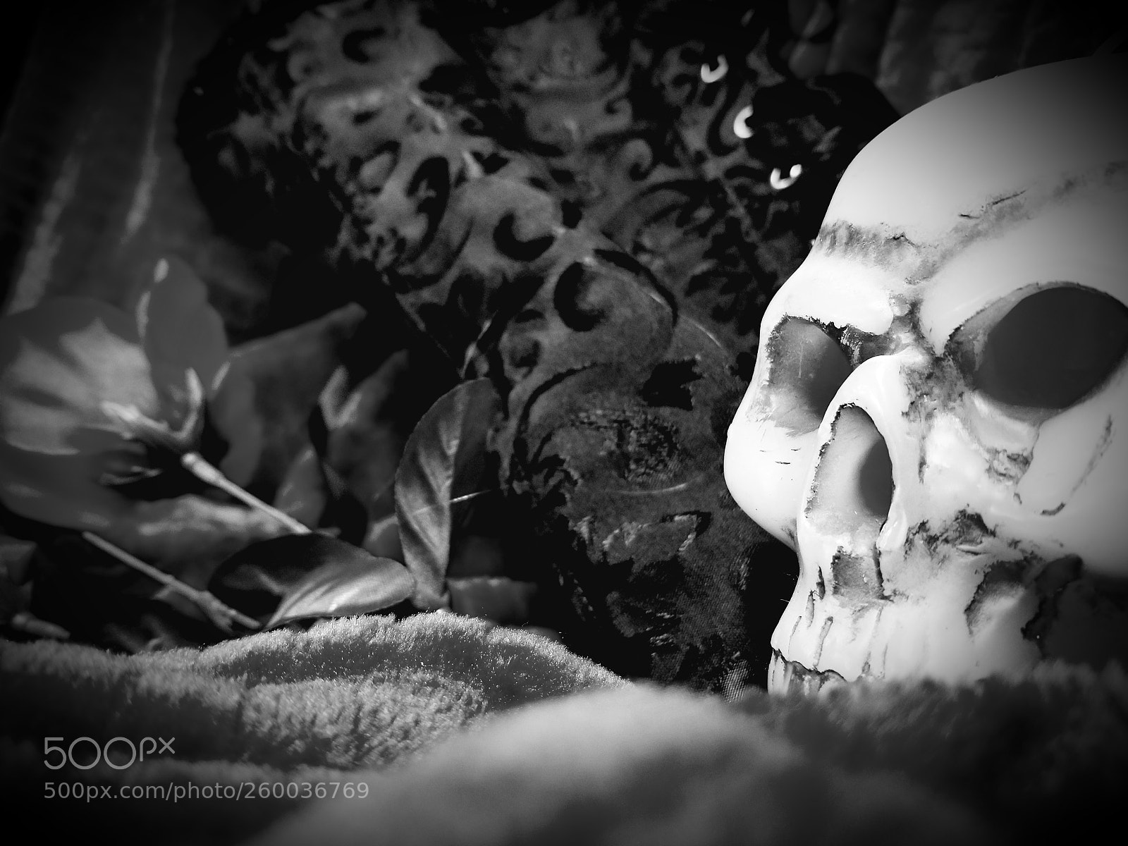 Samsung Galaxy S8 sample photo. Intrigue in b/w photography