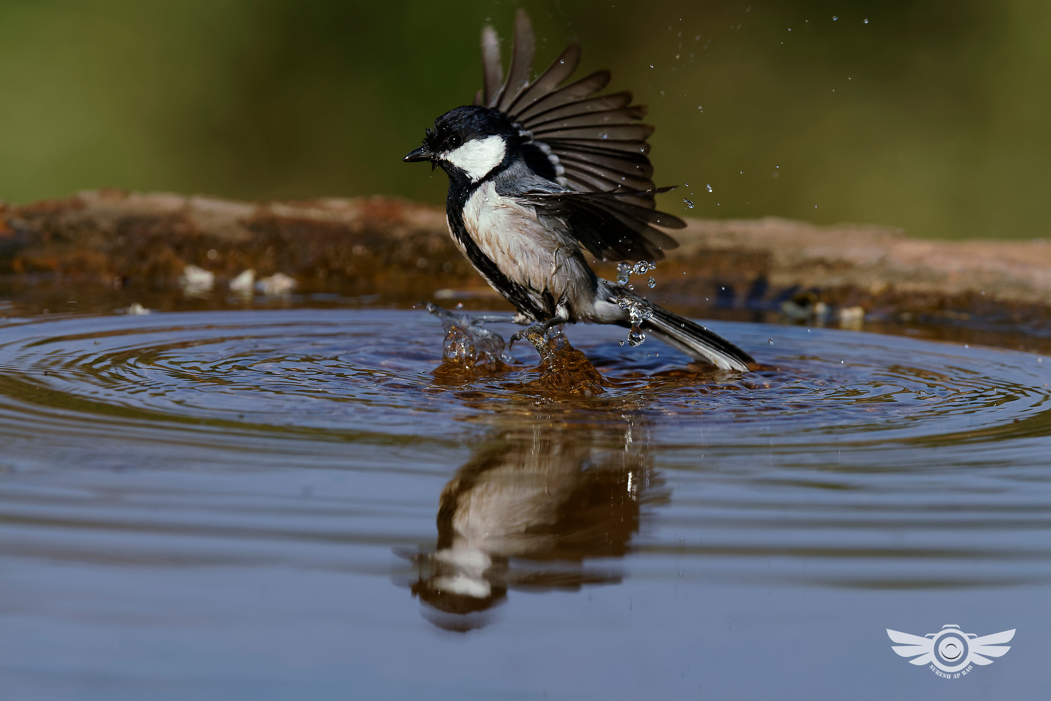 Sony 500mm F4 G SSM sample photo. Ripples & reflections photography