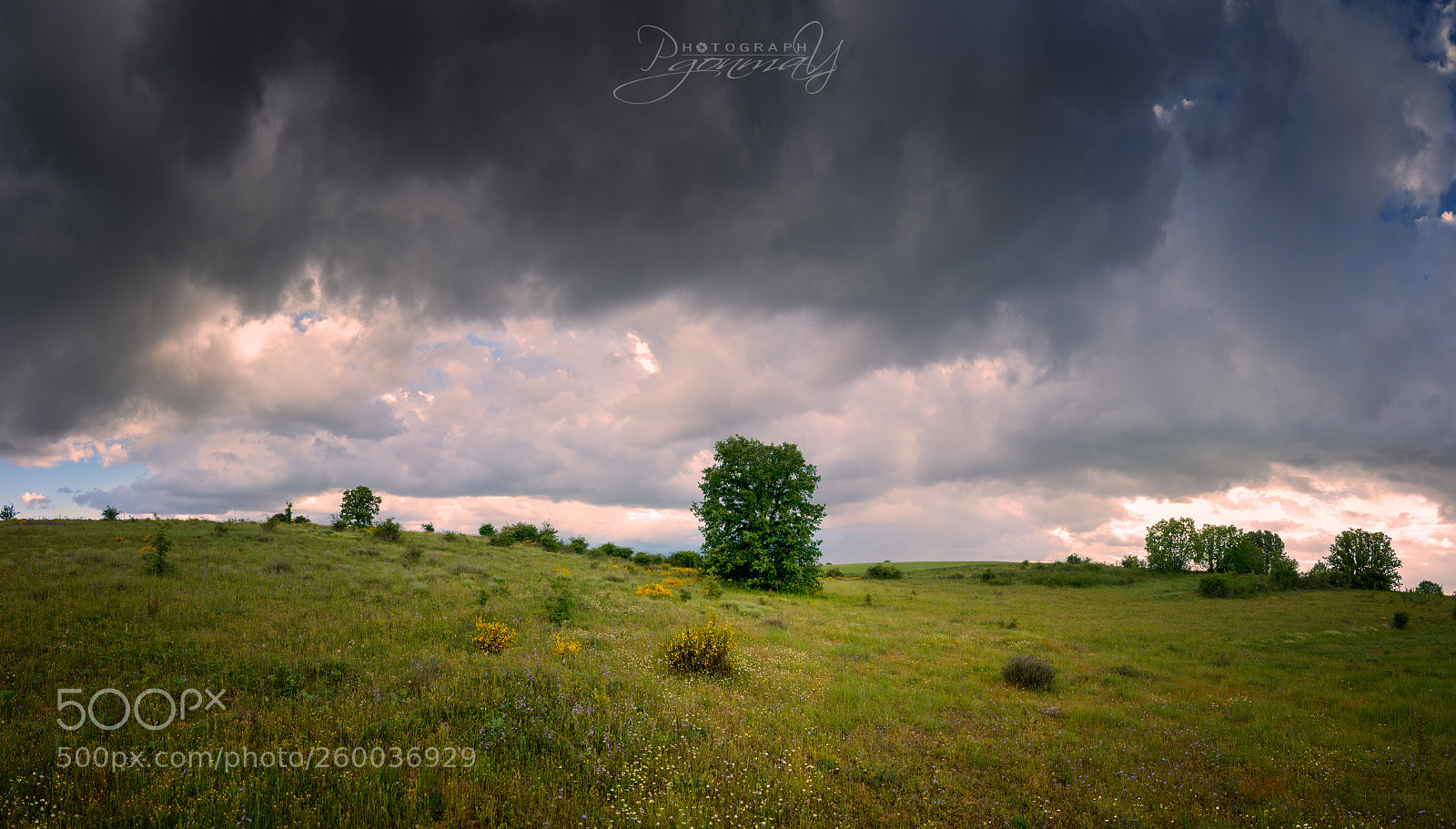 Nikon D7000 sample photo. Waiting for the storm photography