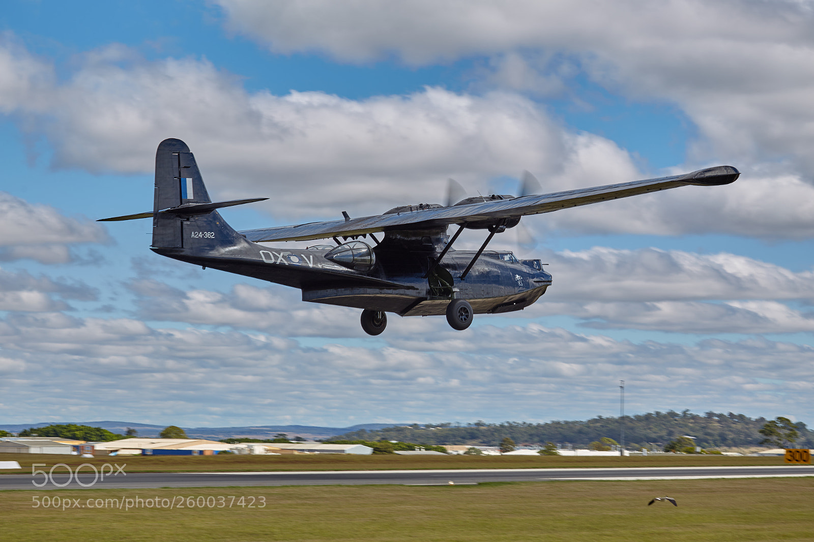 Canon EOS 6D sample photo. Pby catalina (2) photography