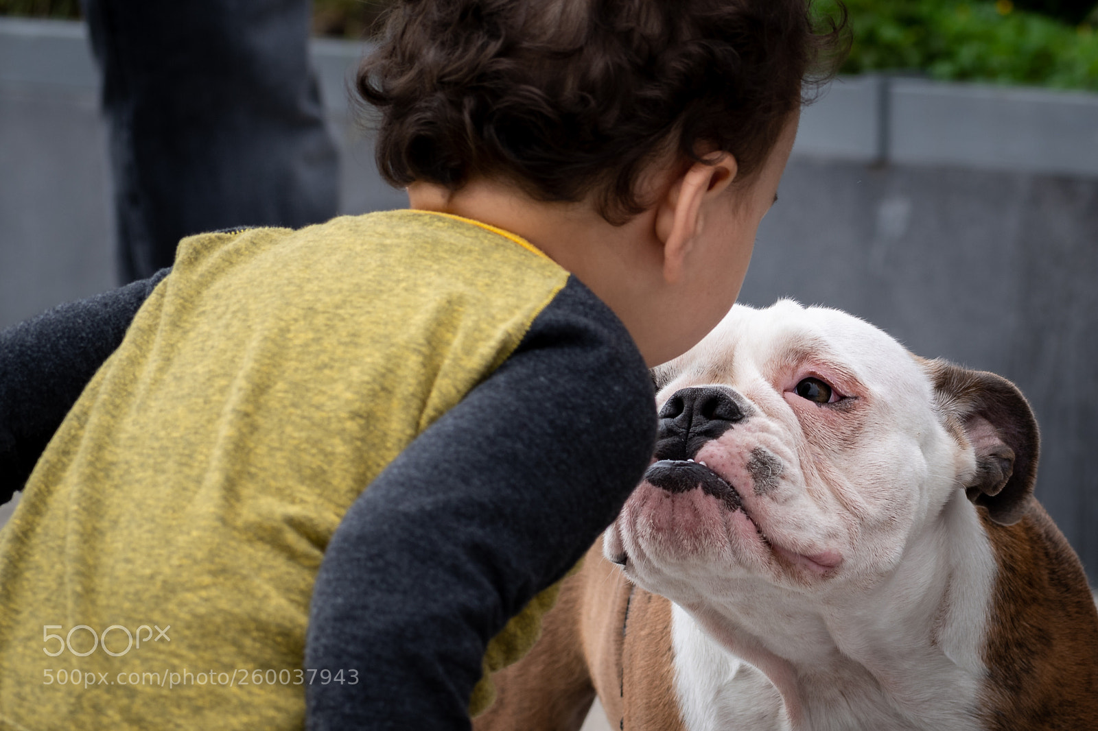 Nikon D500 sample photo. Smooch photography