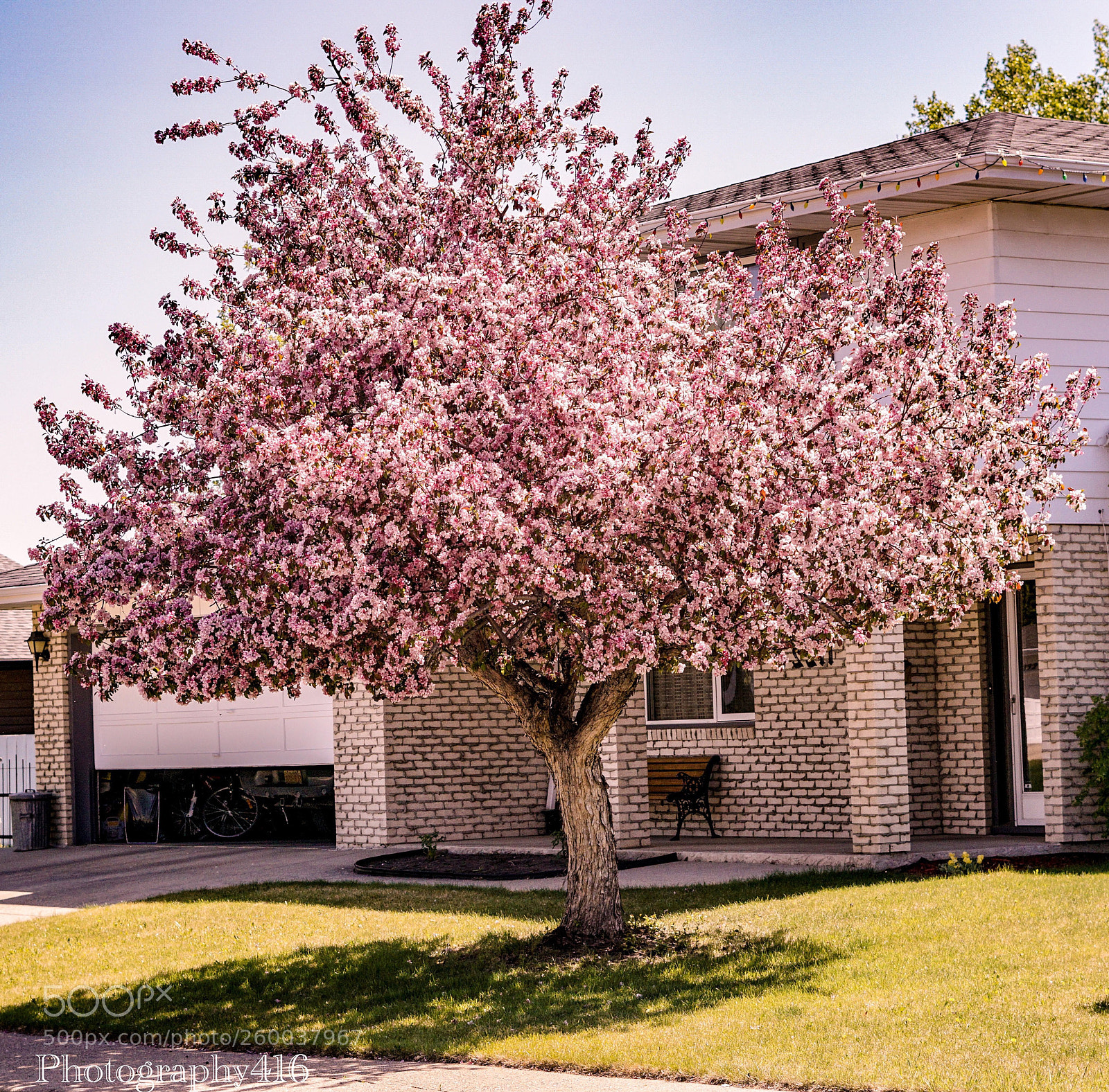 Sony a6000 sample photo. Pink spire photography