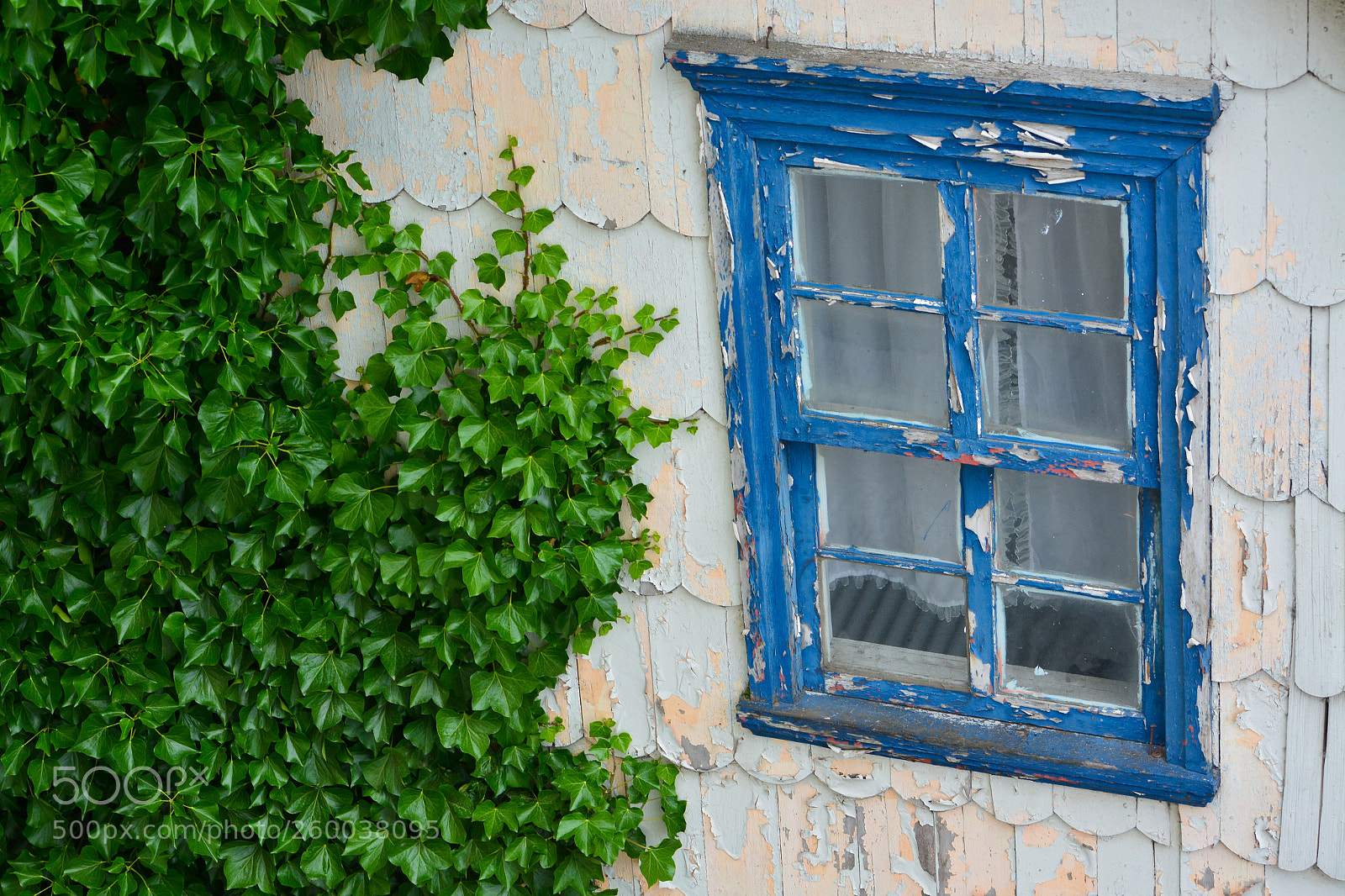 Nikon D7100 sample photo. Blue window photography