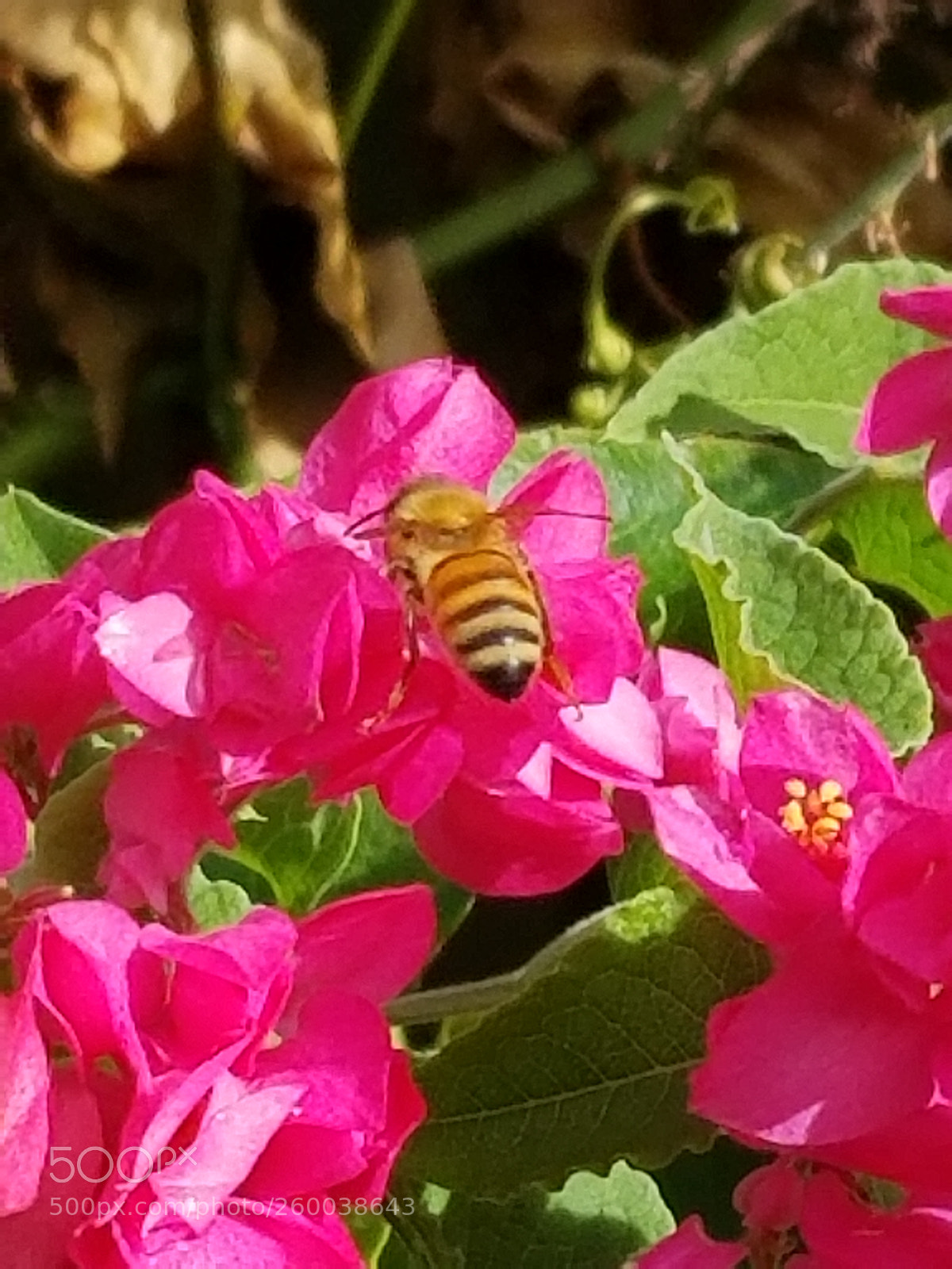 Samsung Galaxy S8 sample photo. Untitled photography