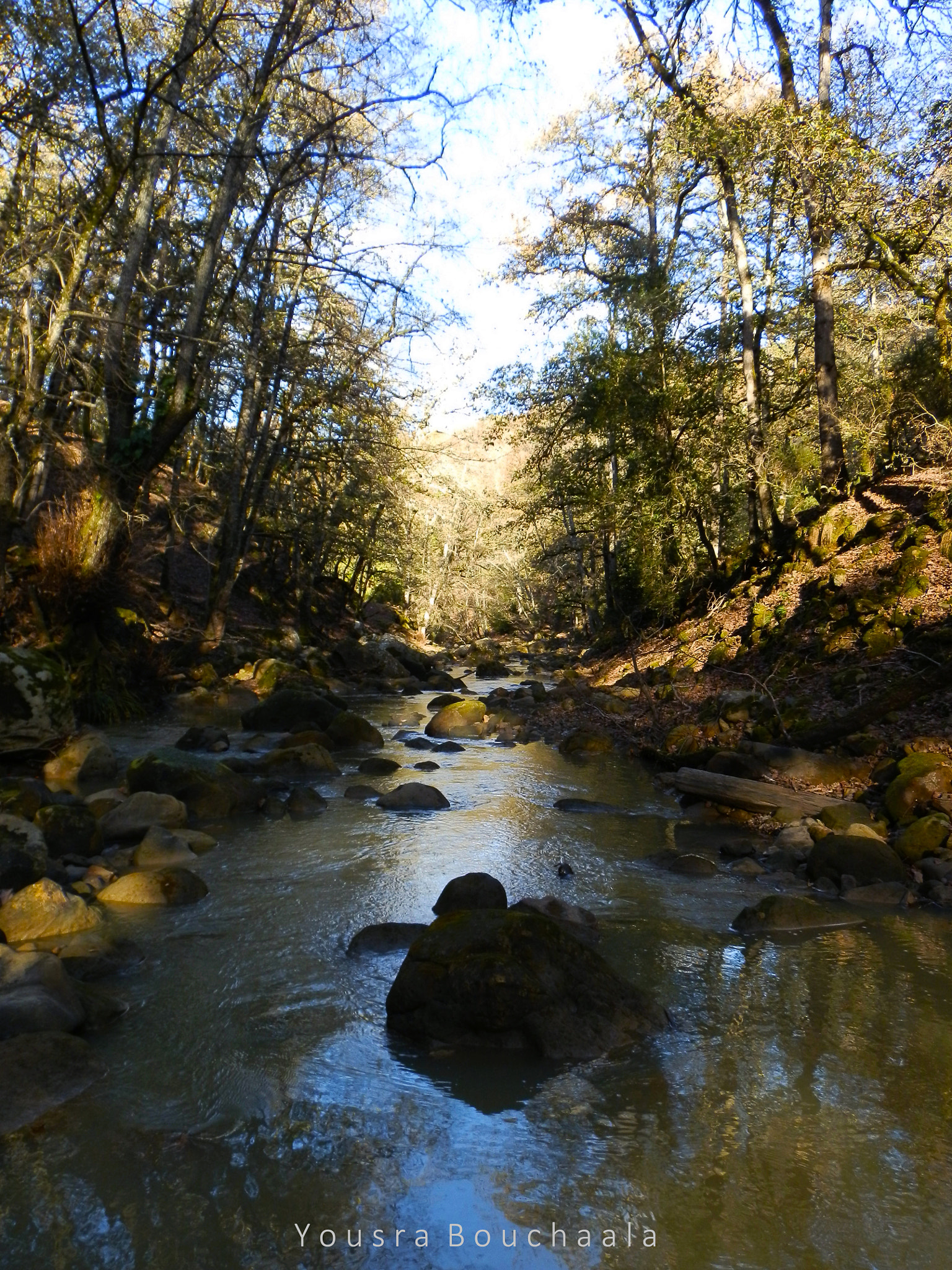 Olympus SZ-10 sample photo. Magical river photography