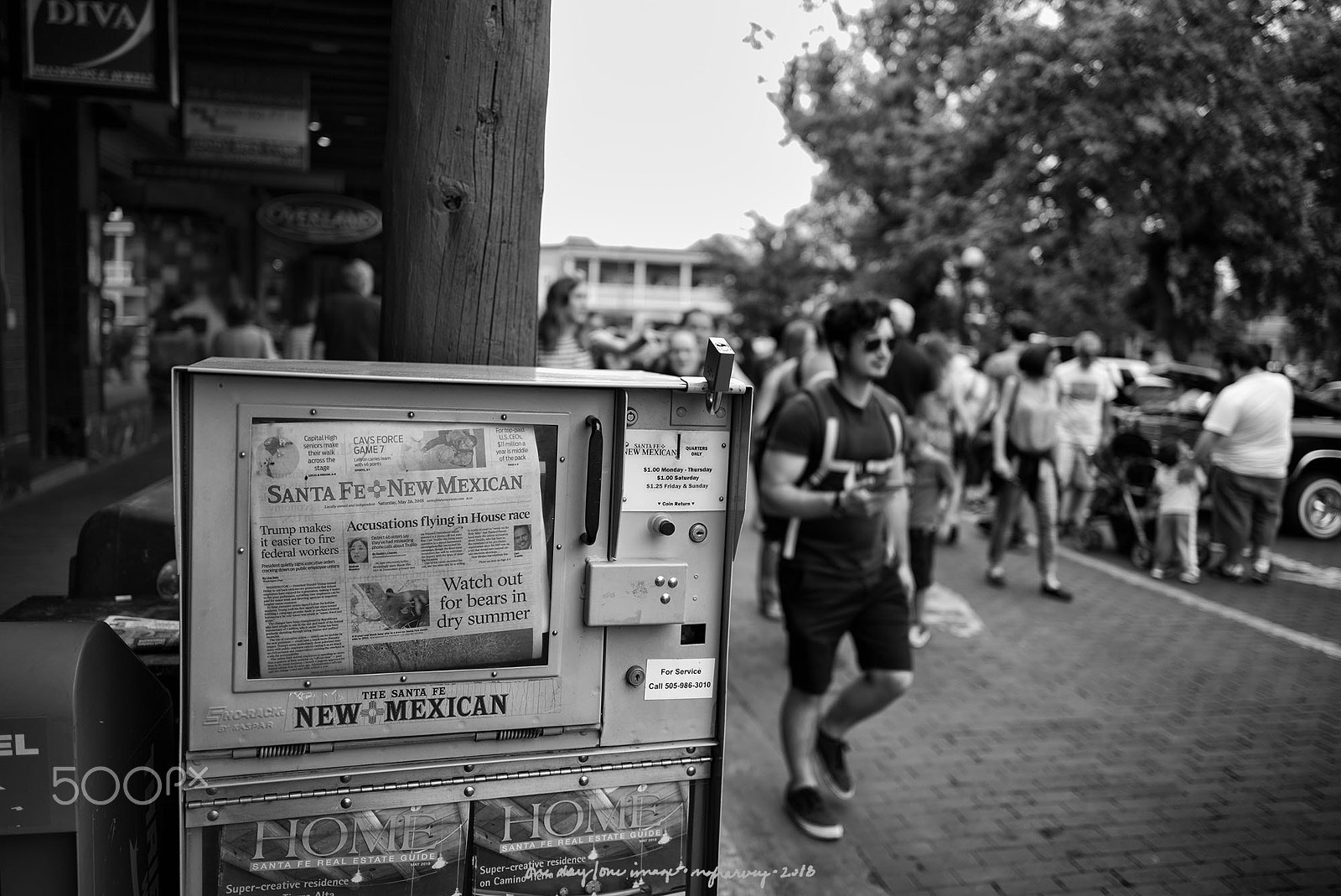 Leica M Monochrom (Typ 246) sample photo. ...in dry summer photography