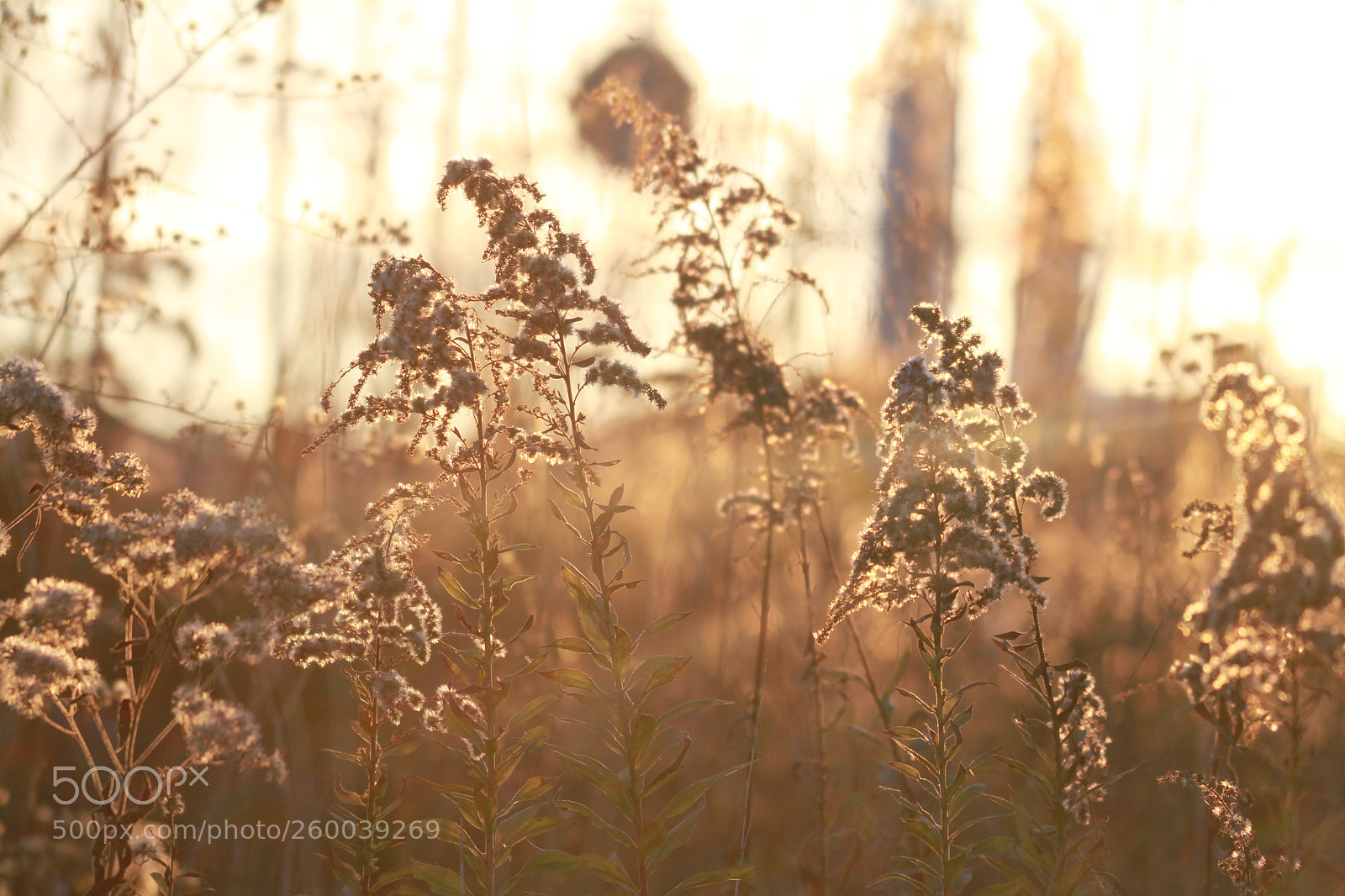 Canon EOS 7D sample photo. Atardeceres del largo tiempo photography